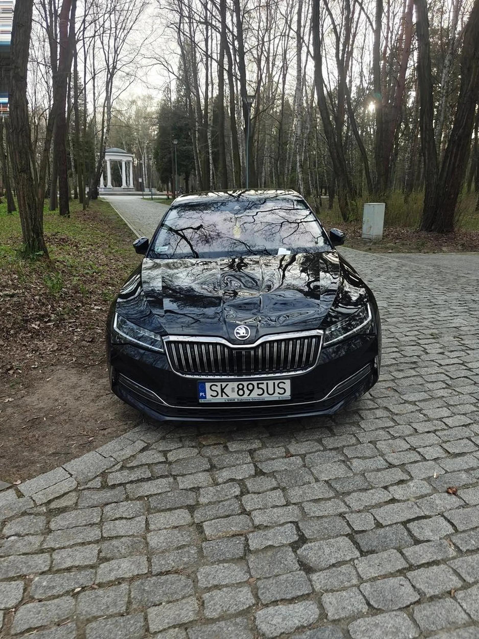 Parkuj jak burak i zbieraj mandaty. Może na rower się przerzuć?