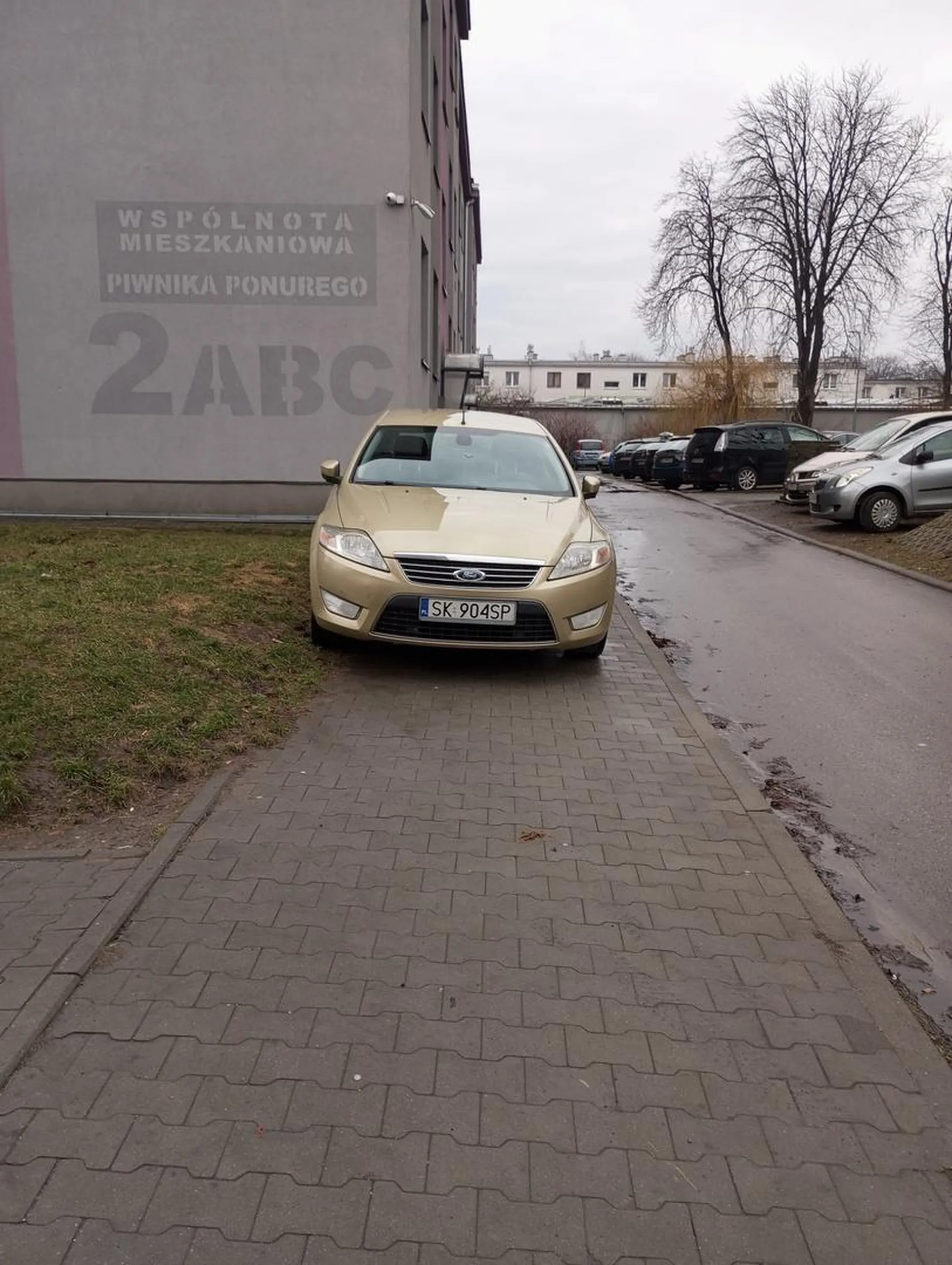 Nie dość, że na całej szerokości chodnika stoi, to jeszcze na trawniku. Naucz się chamie parkować