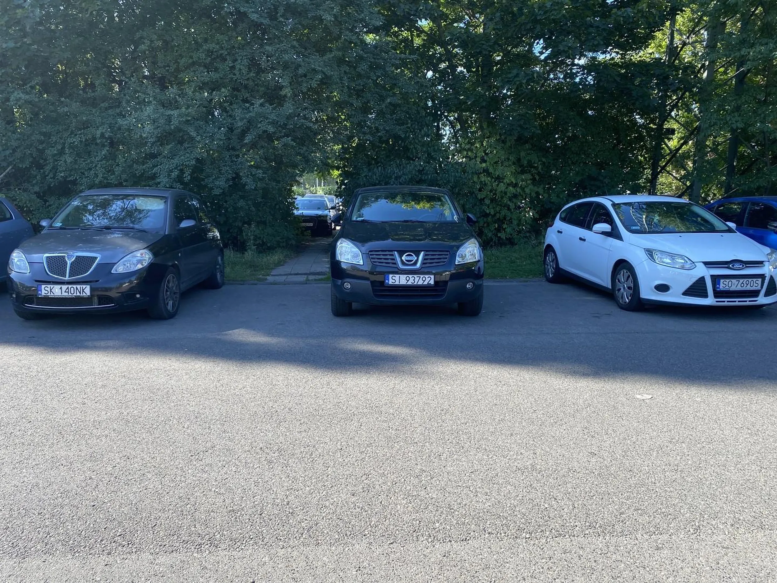 Zapraszam na kurs parkowania, od zajmowania 2 miejsc nic nie rośnie! To mit ;)