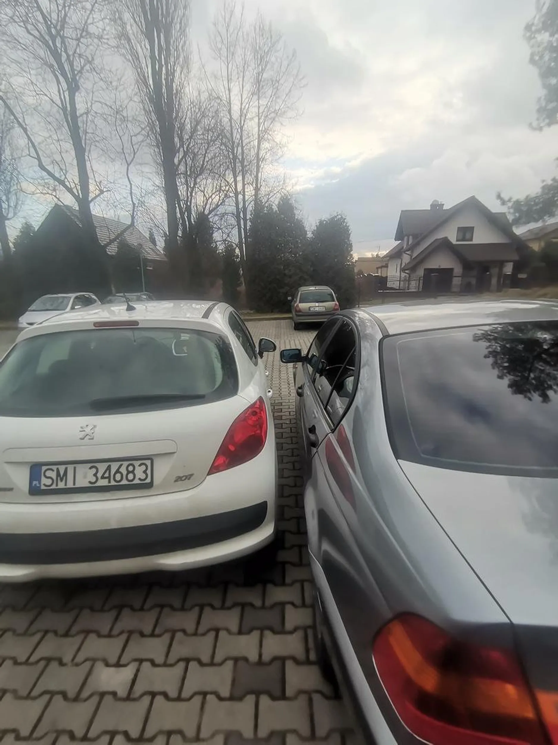 Kasztanie naucz sie parkowac