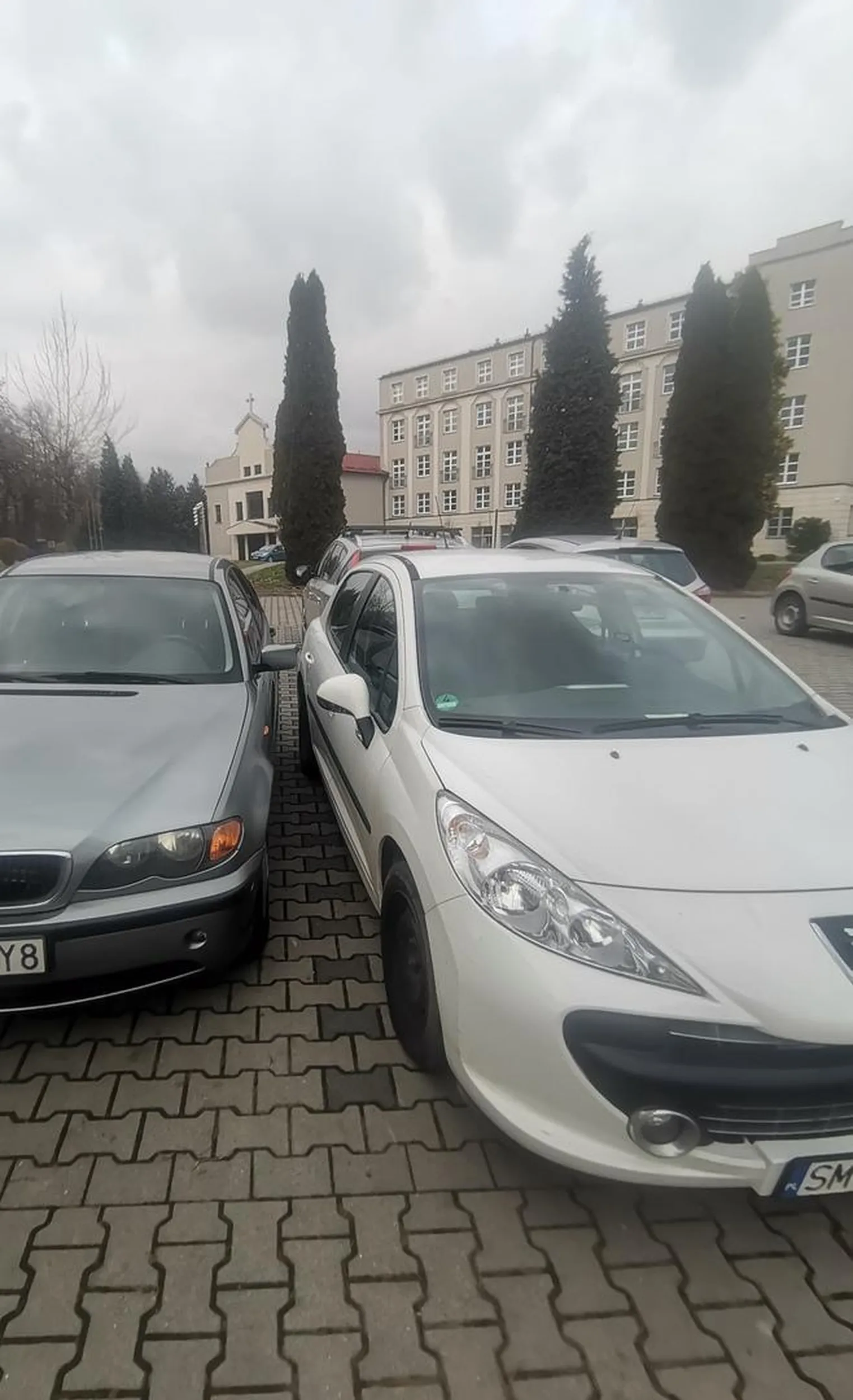 Kasztanie naucz sie parkowac