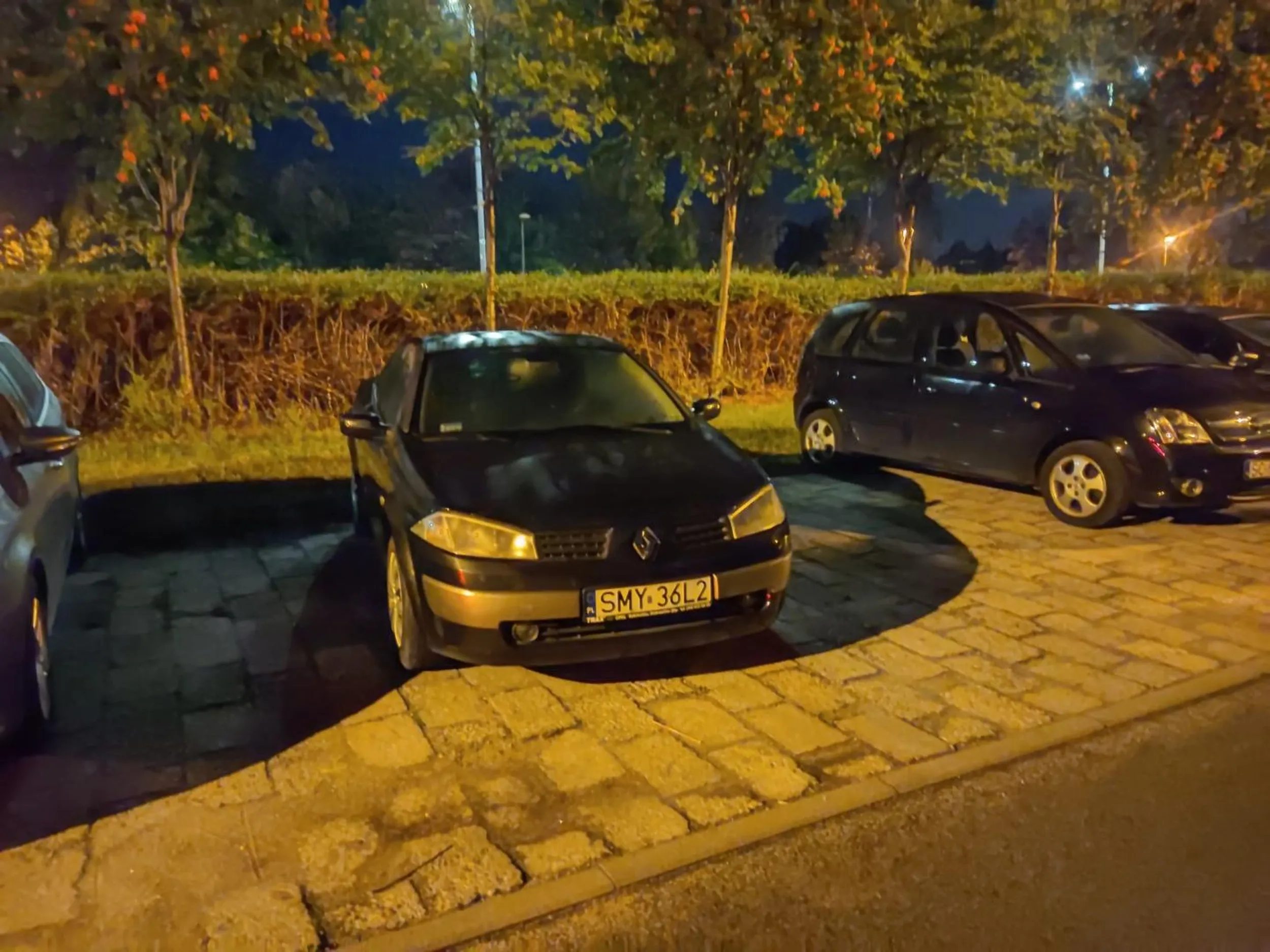 Pozdrawiamy mistrza parkowania.