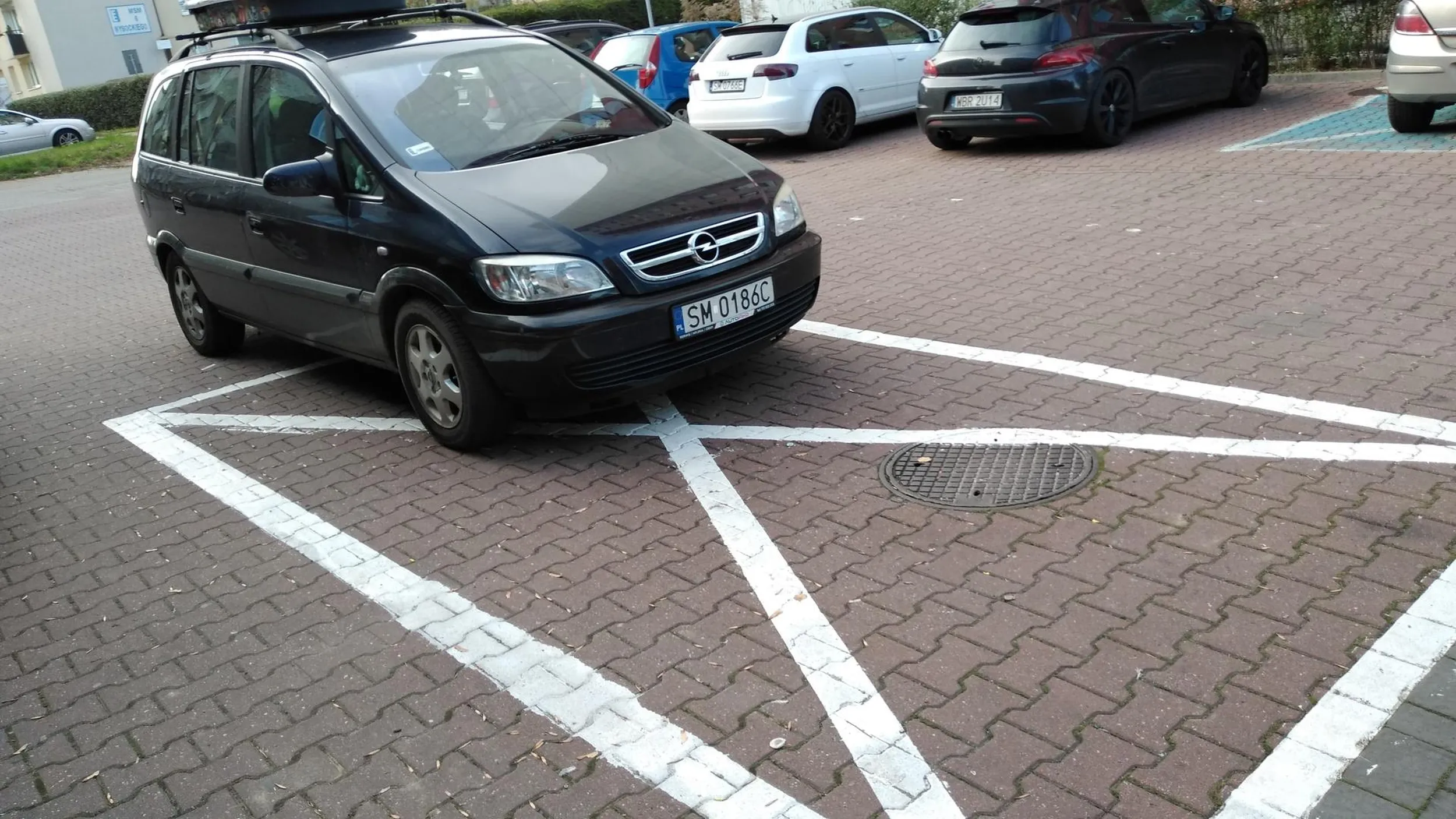 Dla ciebie zwykły ciul. Dla mnie też.