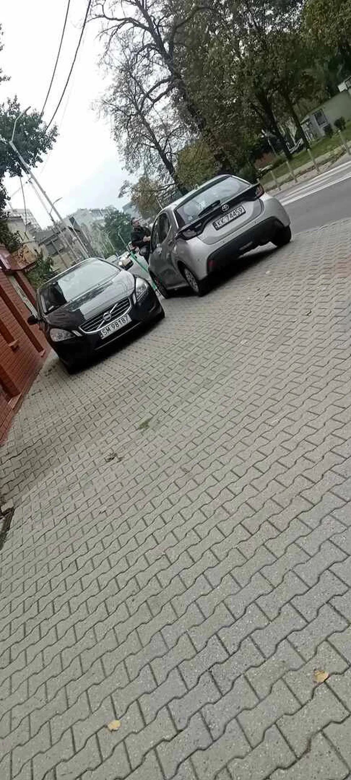 Jesteś pizx żeby tak parkować auto na chodniku mam nadzije że lusterko które zostało połamane zaboli cie w portfel