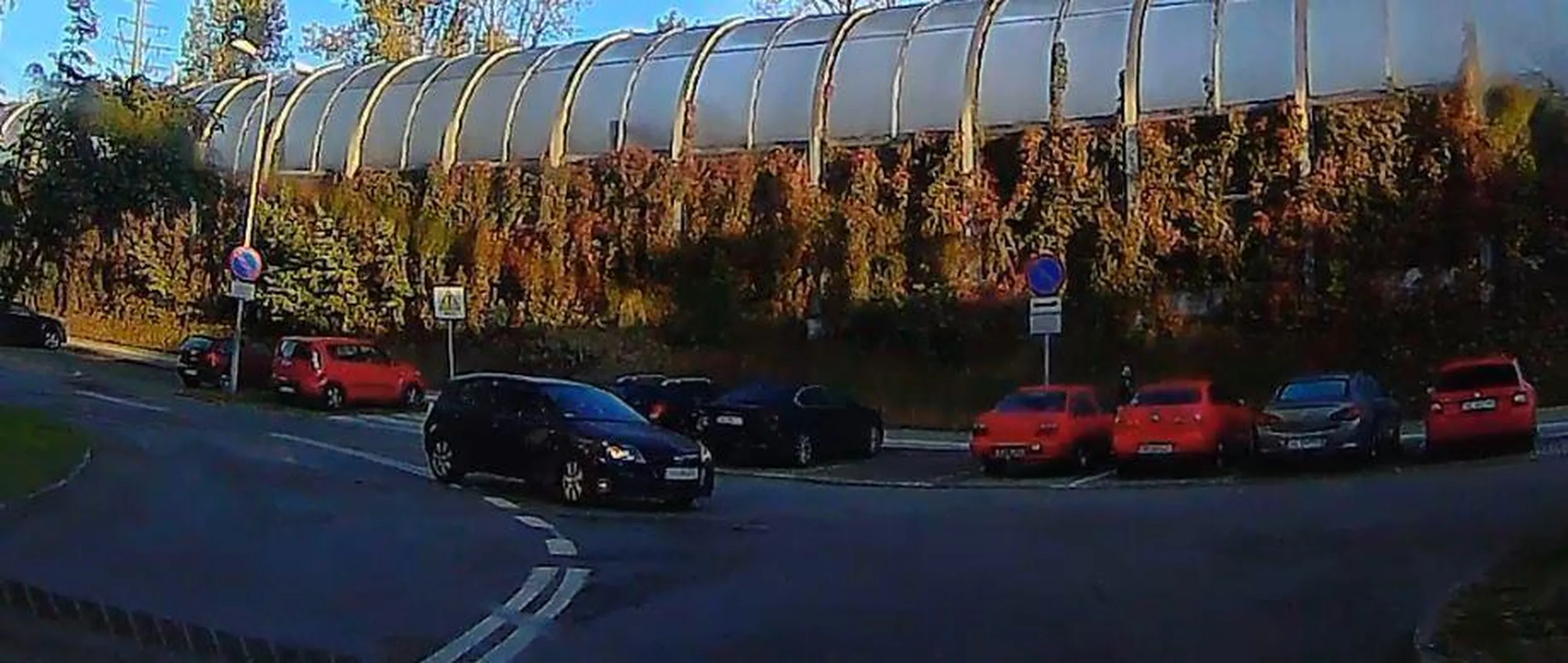 Przyjechał z Sosnowca jeździć po Katowicach pod prąd.