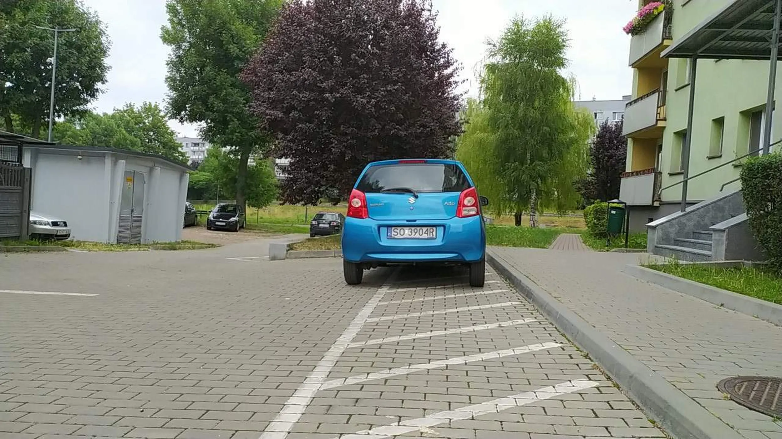 Siła przyzwyczajenia, od 1,5 roku pani parkuje w niedozwolonym miejscu.