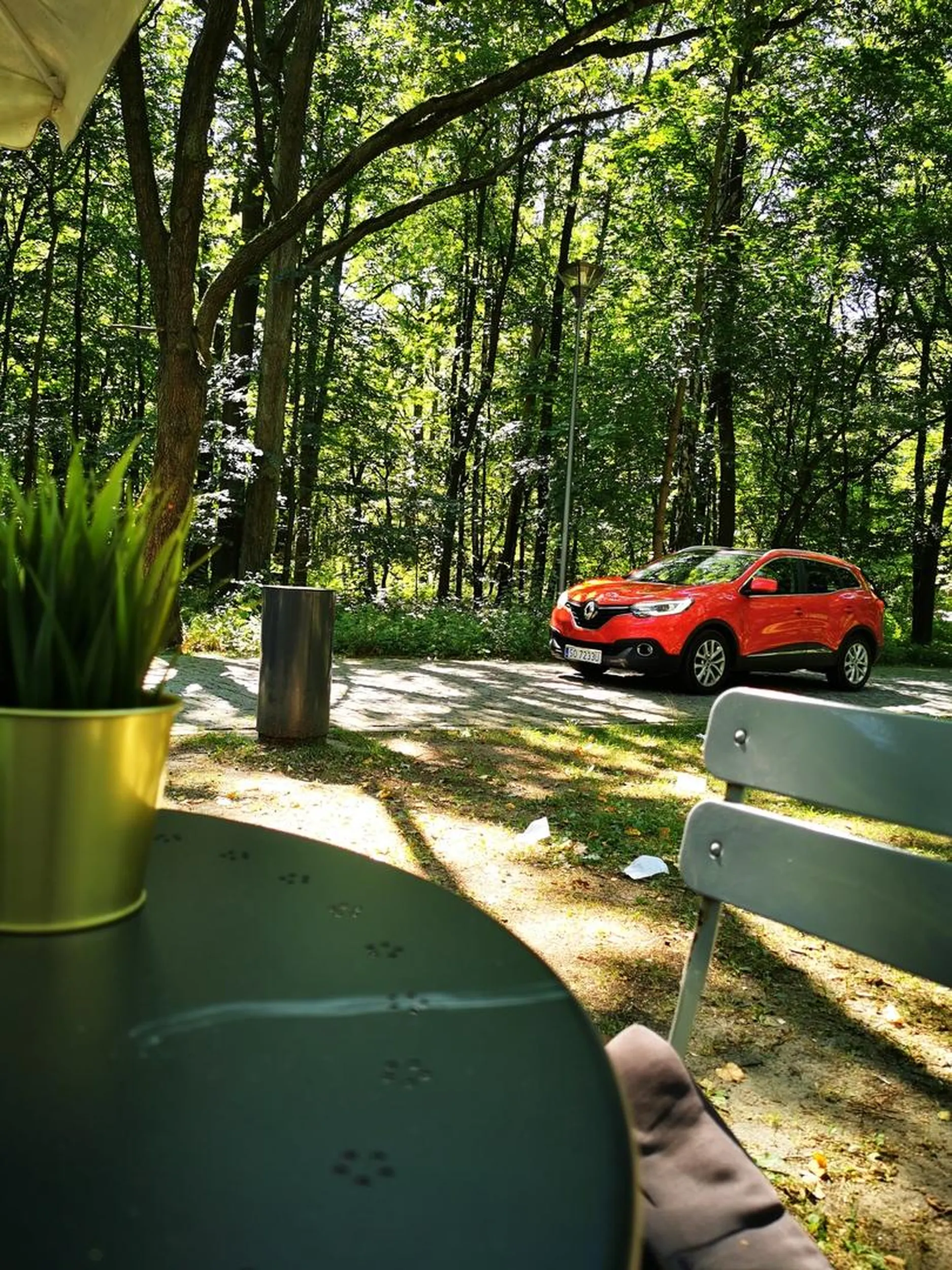 Alejki parkowe dla tego Pana to zwykła droga....