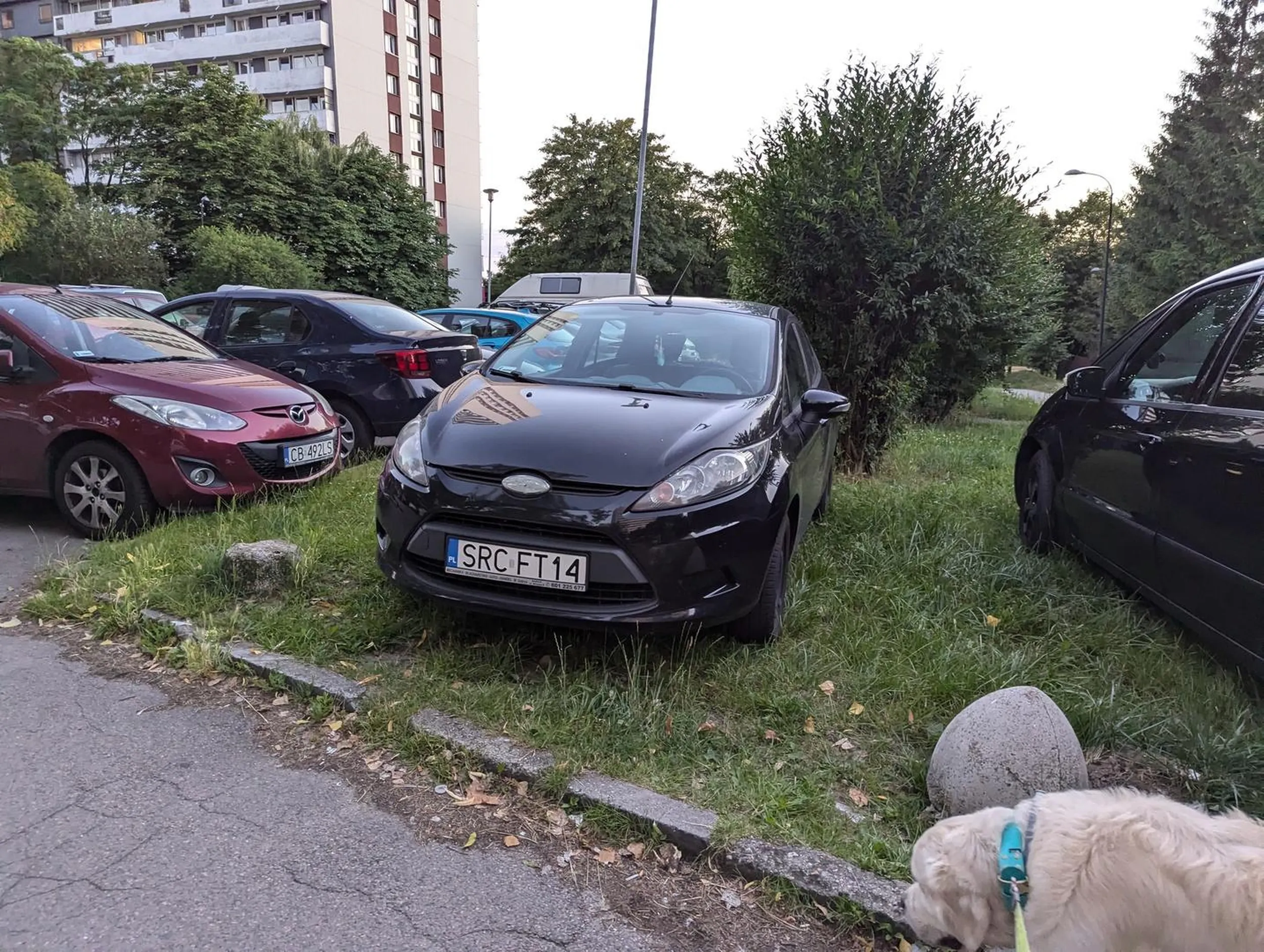 No gdzie parkujesz!?