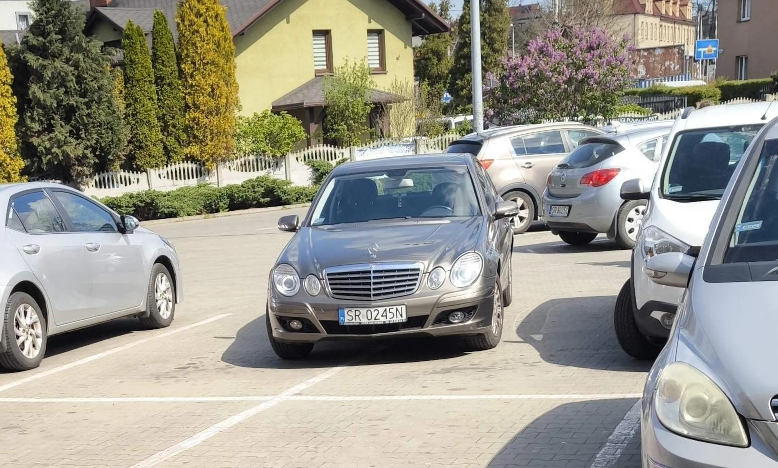 Burak z Rybnika nie mieści się w liniach