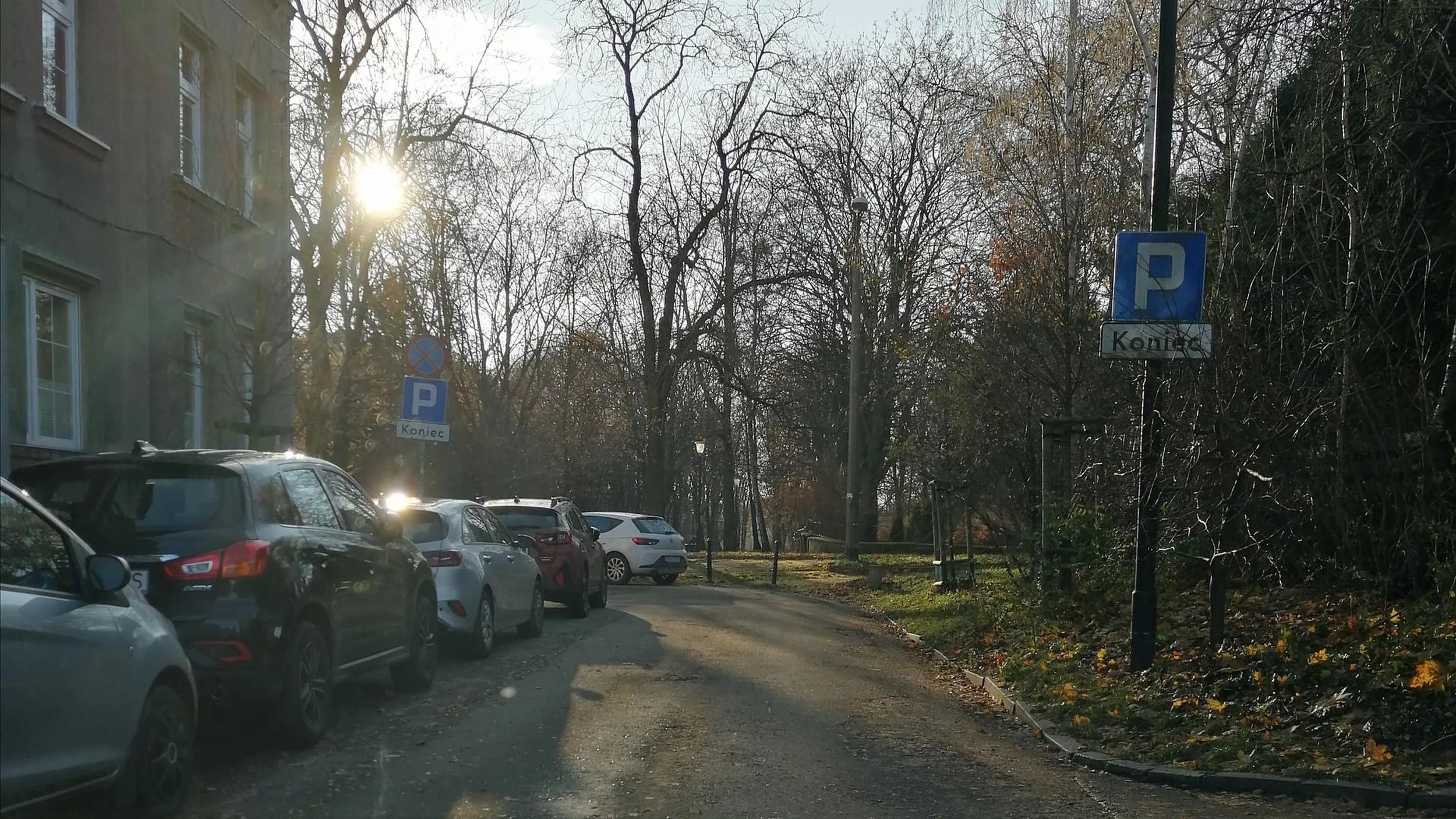 Gliwice, Długosza. Menda parkuje na łuku drogi, blokuje wejście do parku.