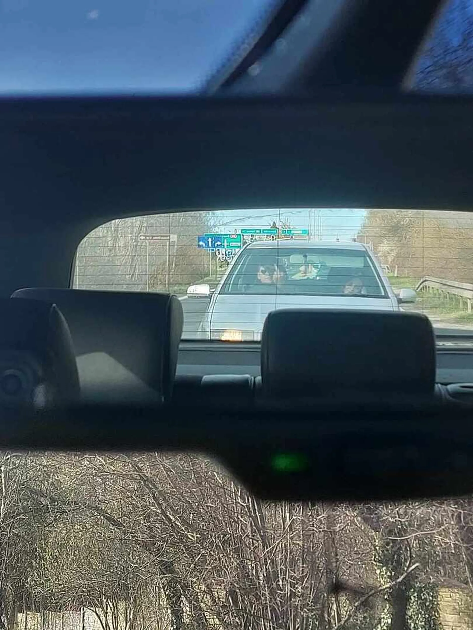 Kierowca wulgarny i agresywny prawo jazdy w chipsach wygrał albo jeździ na pozwoleniu od taty