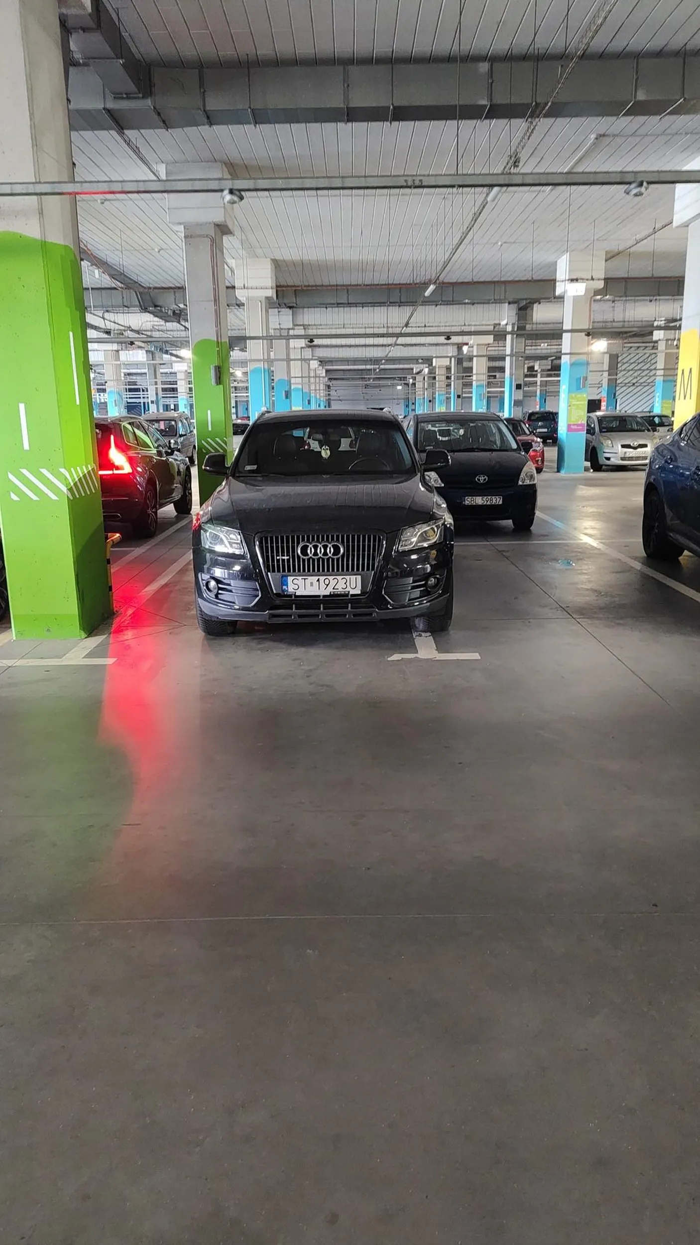 Ma Audi więc linie go nie obowiązują