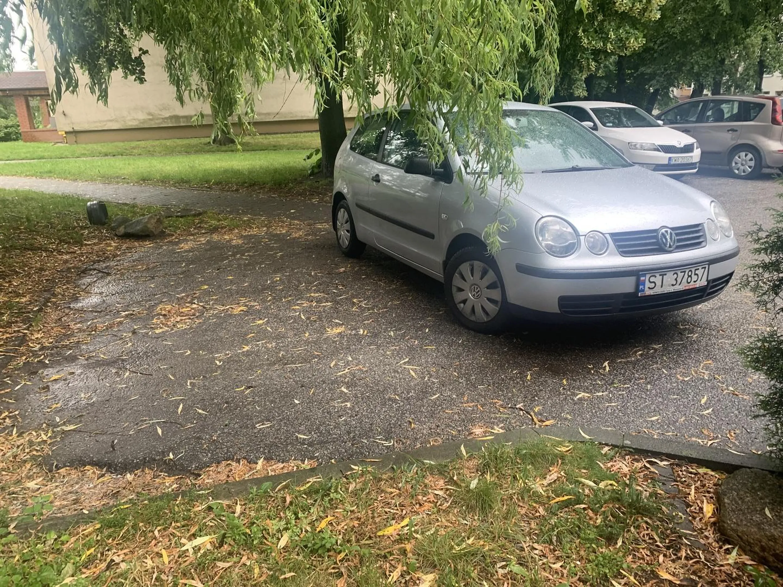 Na dwóch miejscach i to w poprzek. Naprawdę gratuluję