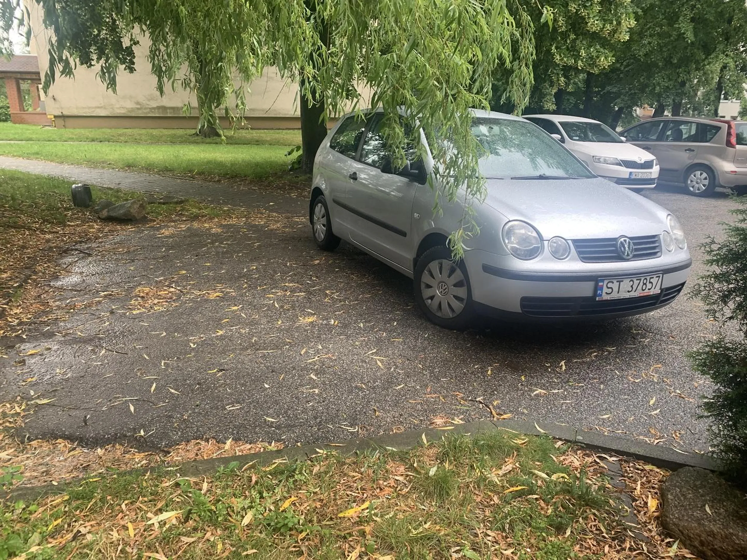 Na dwóch miejscach i to w poprzek. Naprawdę gratuluję