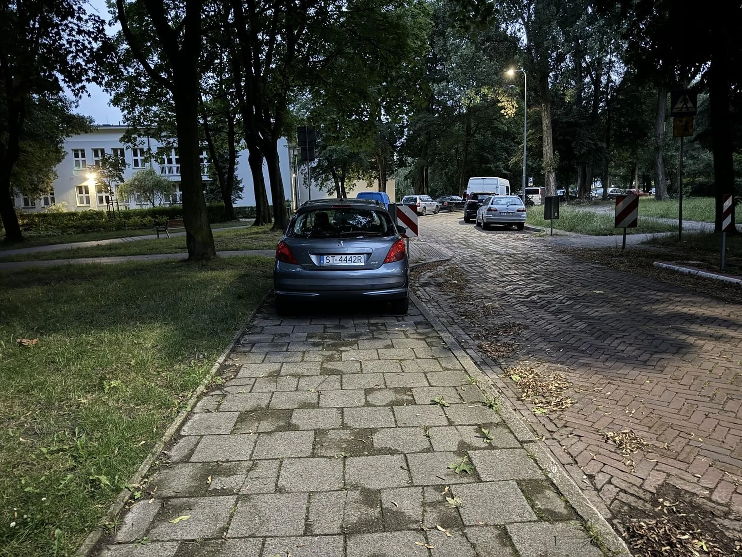 Kierowca blokuje przejście na chodniku oraz to nie jest miejsce do parkowania tylko do chodzenia.