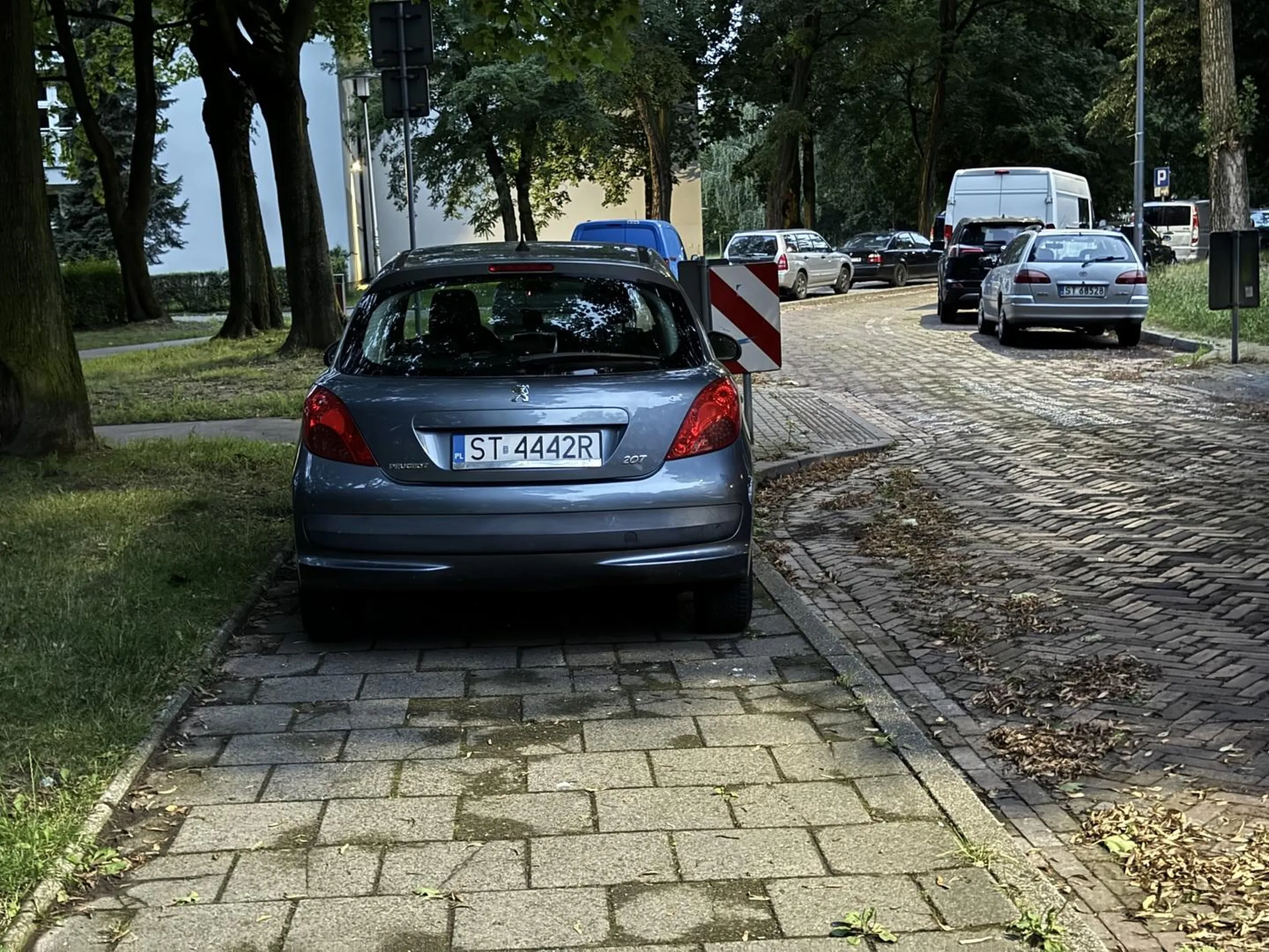 Kierowca blokuje przejście na chodniku oraz to nie jest miejsce do parkowania tylko do chodzenia.