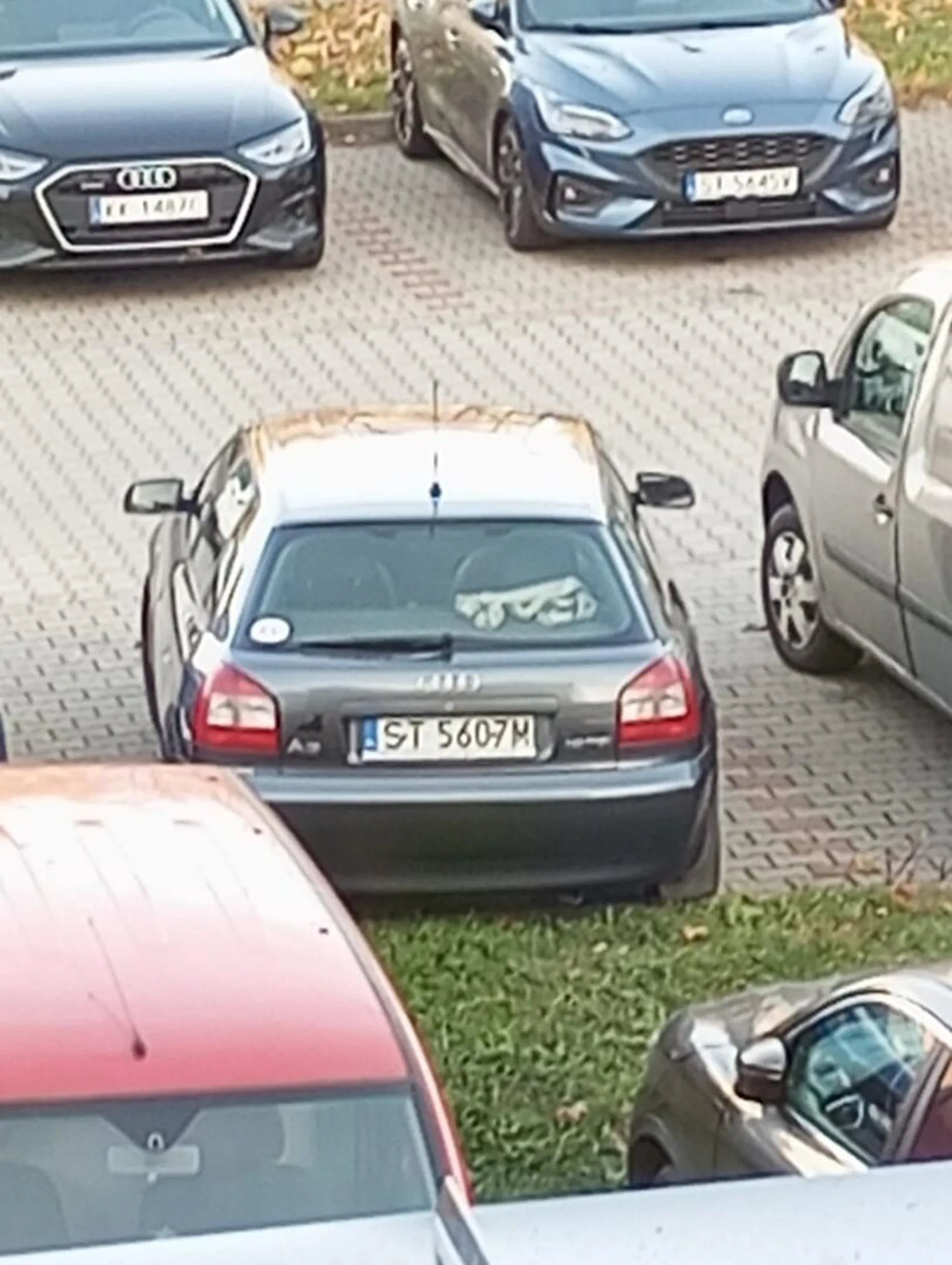 Parkowanie na poziomie. Następnym razem zostawię tobie kolorowanki za wycieraczką ?