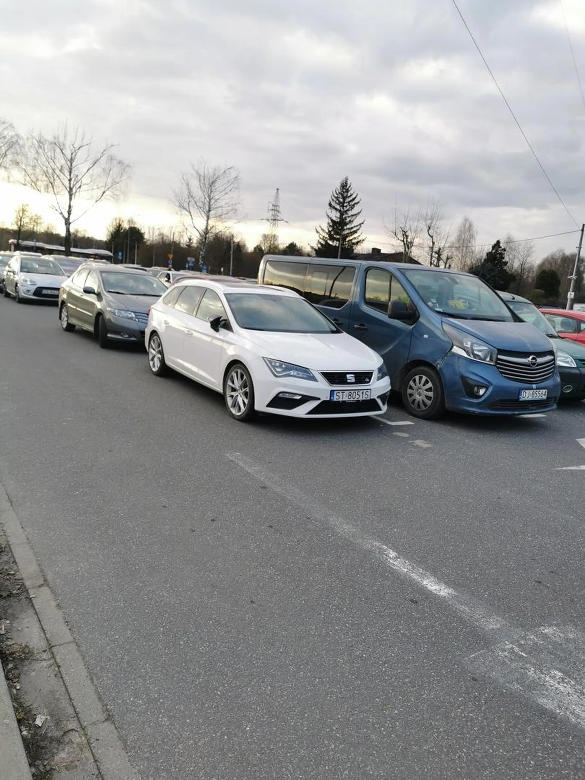 Parking cały zajęty, a to sobie stanę na drodze! Bo mogę!