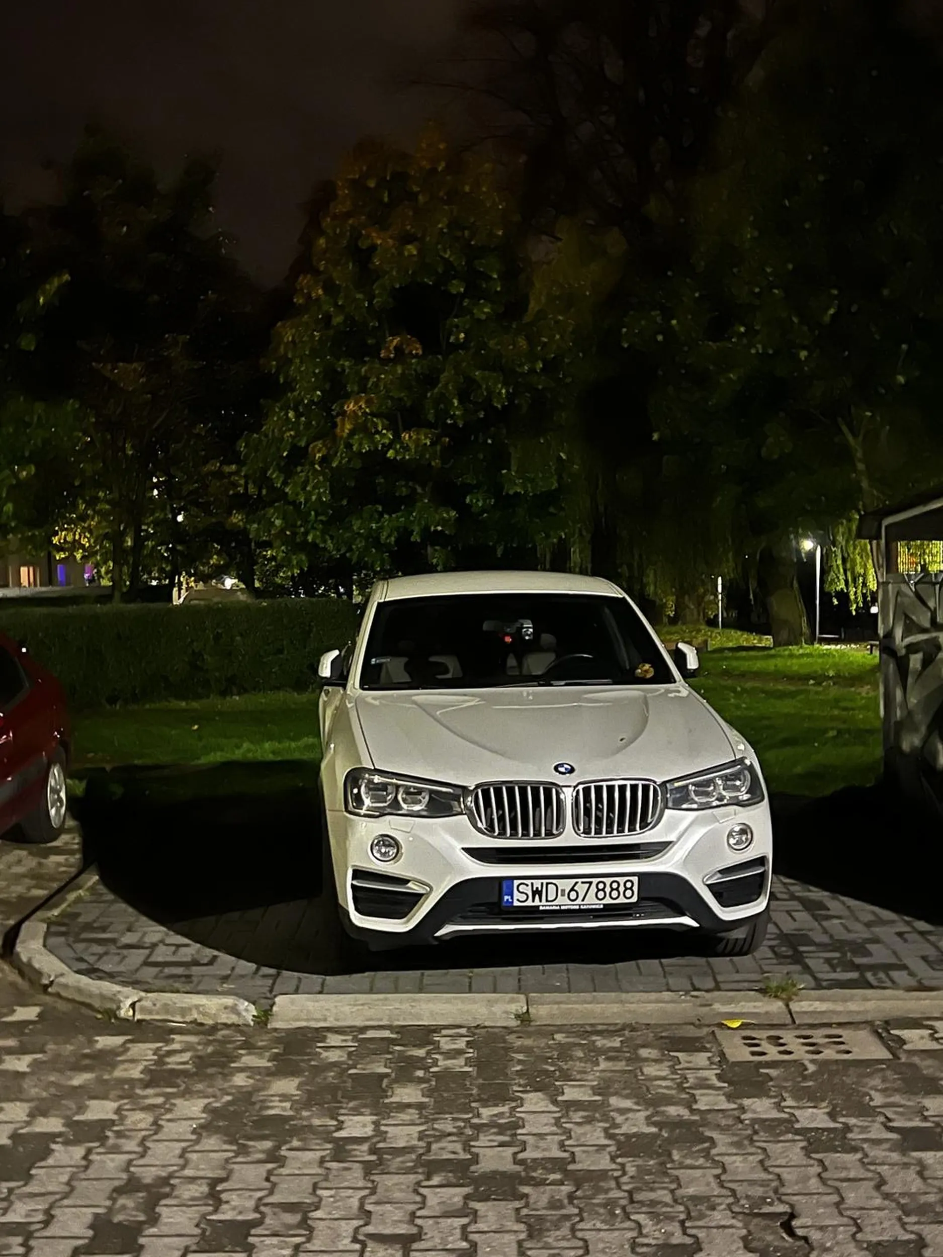 Święta krowa parkująca na dwóch miejscach.