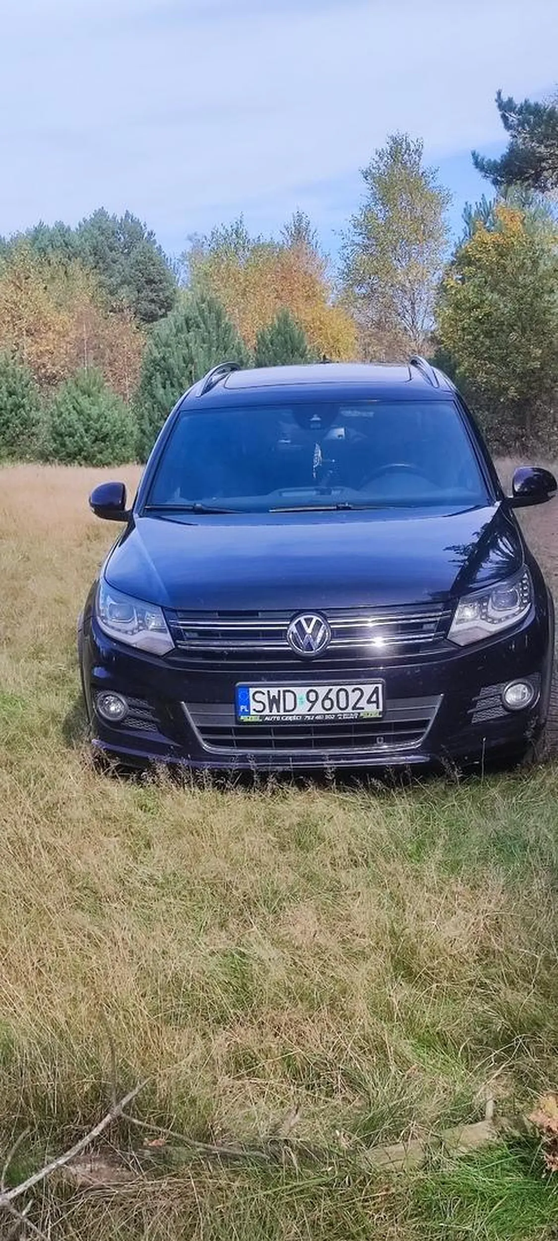 Las koło jeziora Chechło Nakło Patałach nie wie że nie wolno w lesie parkować