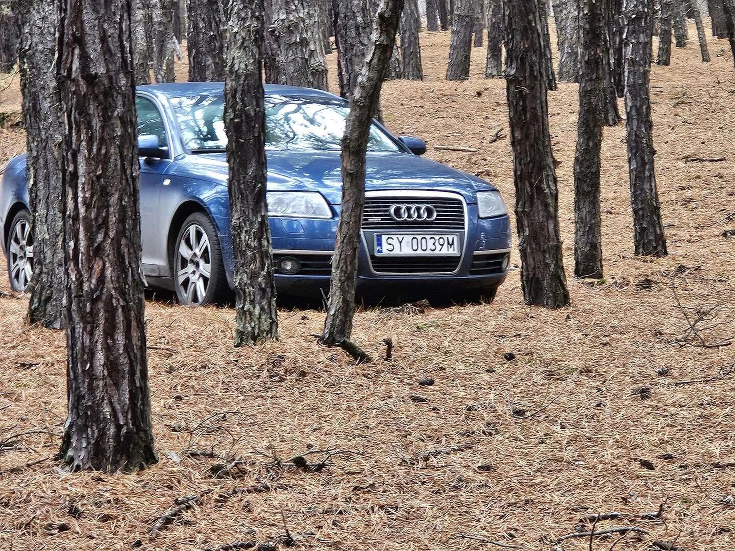 Wspaniały kierowca. Wjechał sobie na dziko do Kampinoskiego Parku Narodowego i tak stoi z włączonym silnikiem. Miejmy nadzieję, że jakiś myśliwy pomyli go z dzikiem.