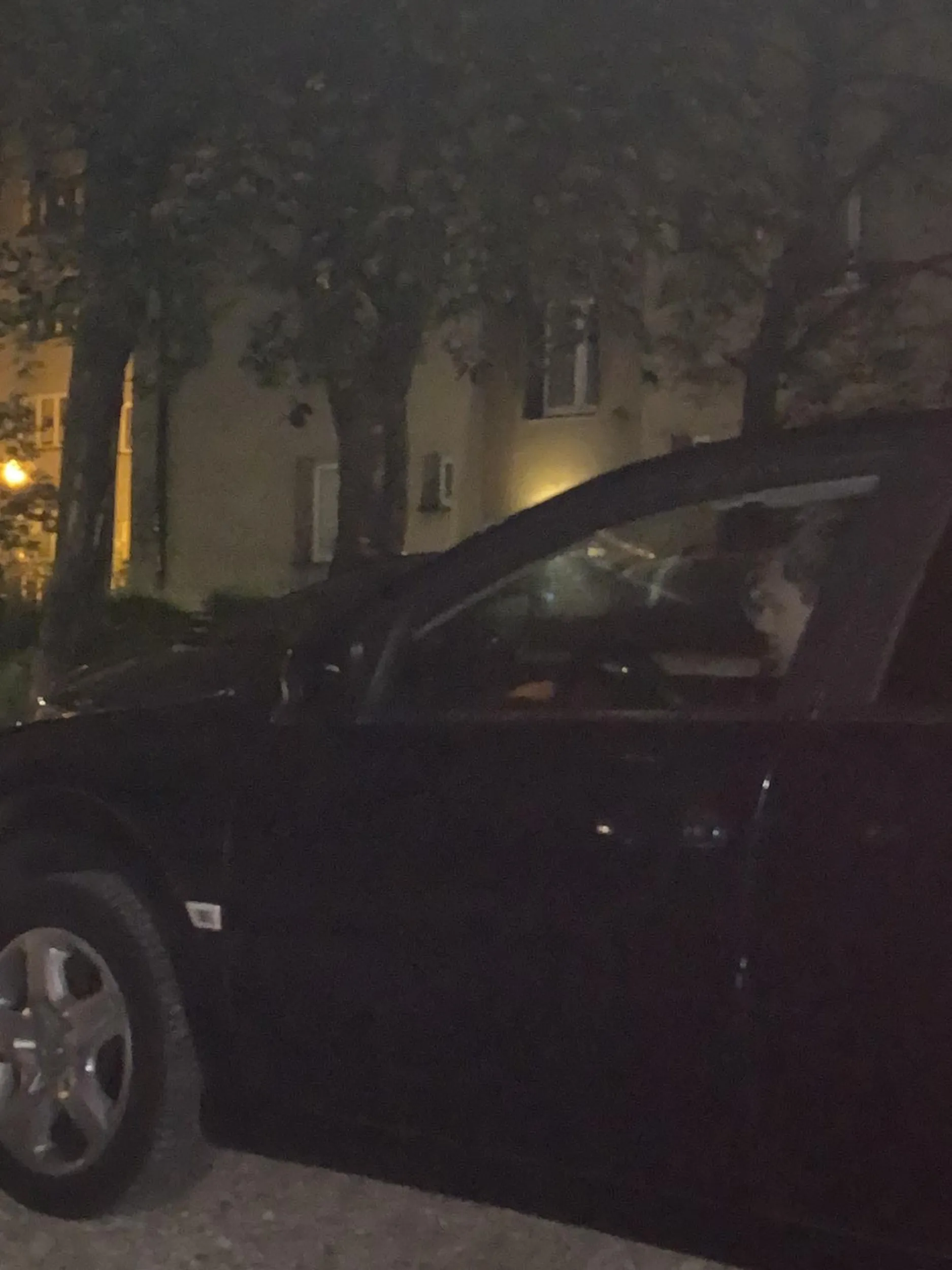 Pan w OPLU macał ostatnio kolegę na światłach widać że bardzo dobrze bawili się w swoim towarzystwie oraz bardzo źle parkuje nie polecam