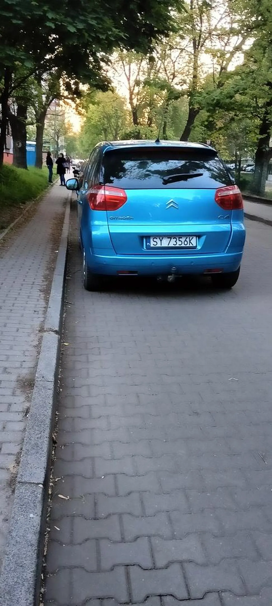 Brawo dla kierowcy za znajomość przepisów ruchu drogowego ,zakaz zatrzymywania się, blokowanie prawego pasa ruchu