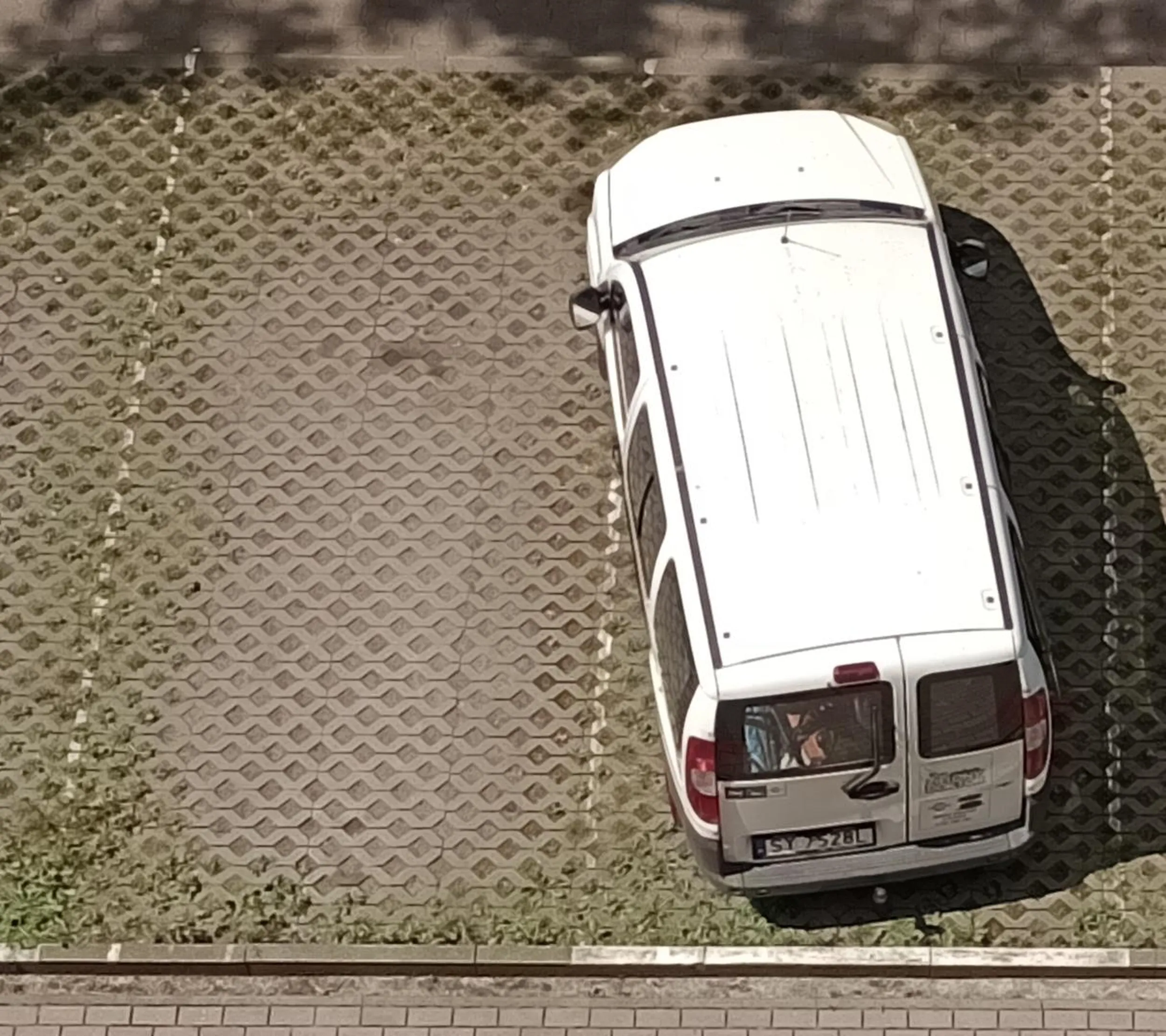 Tak parkuje ślepy samolub