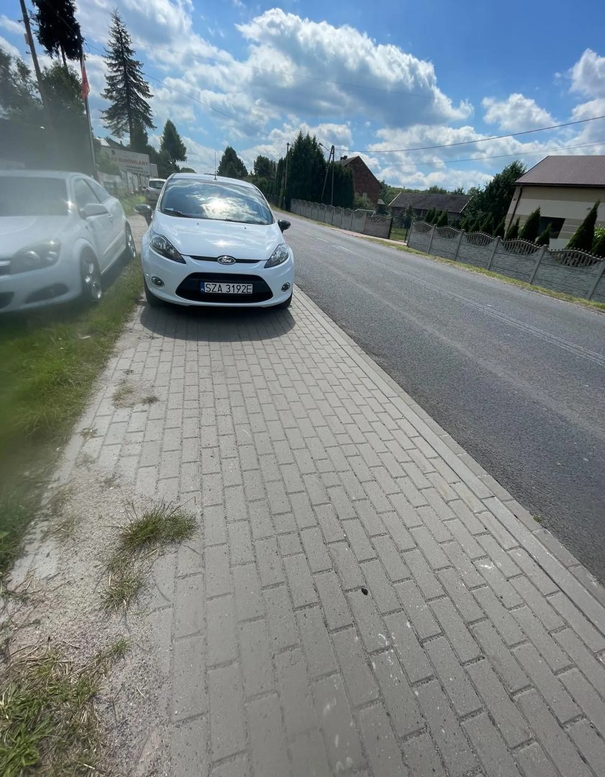 Na środku chodnika ?