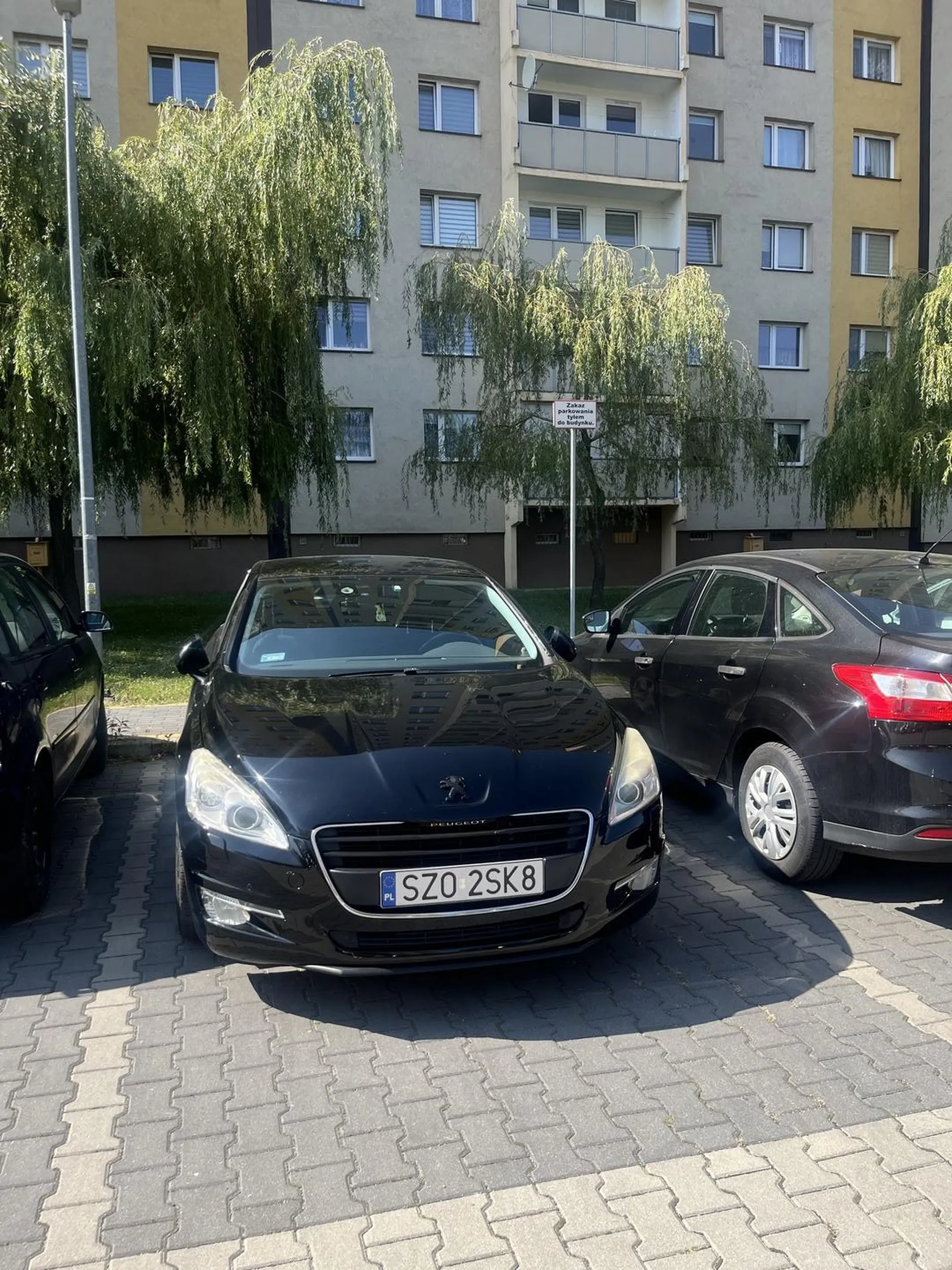 Dopiero zaczynamy naukę czytania?