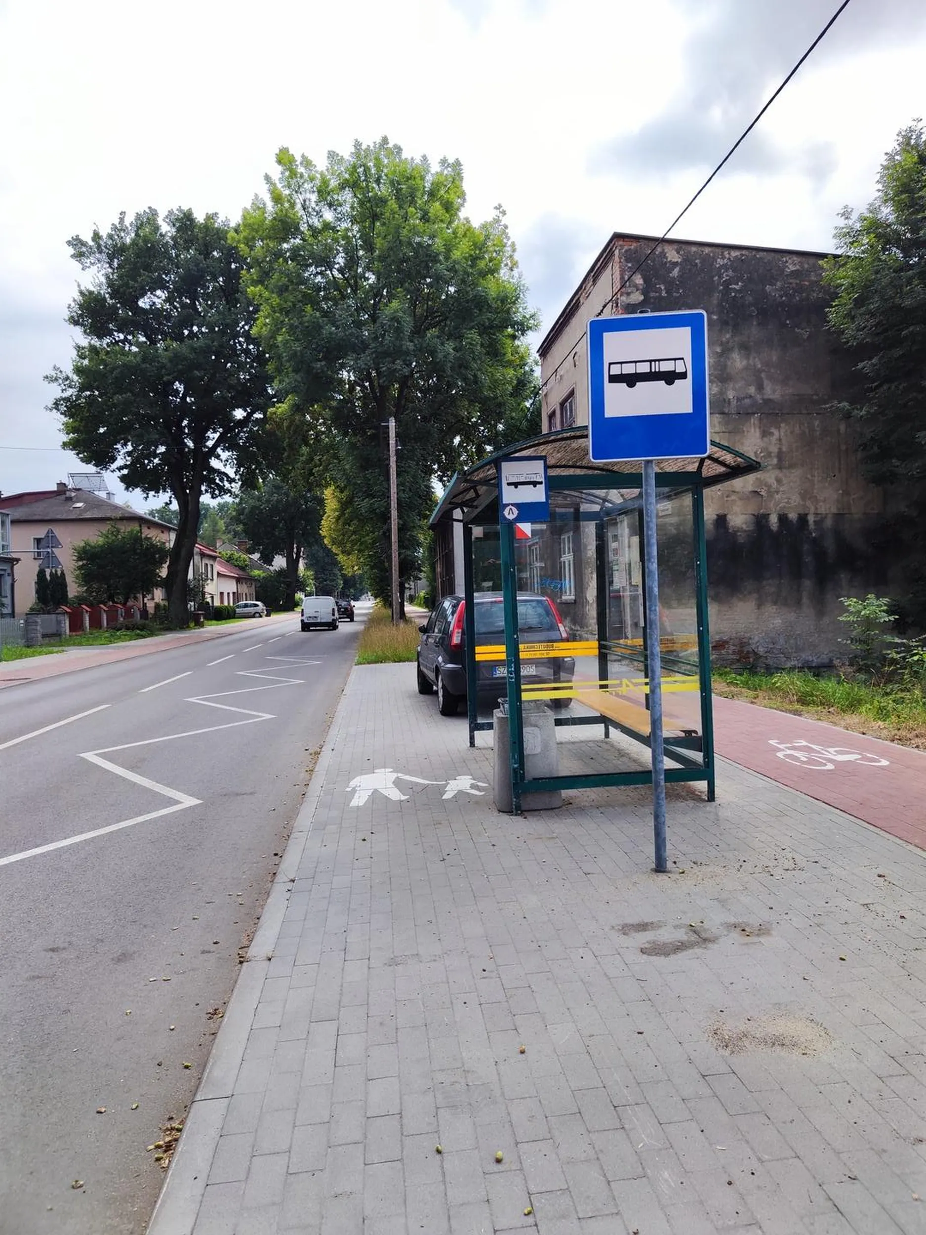 Czeka na autobus?