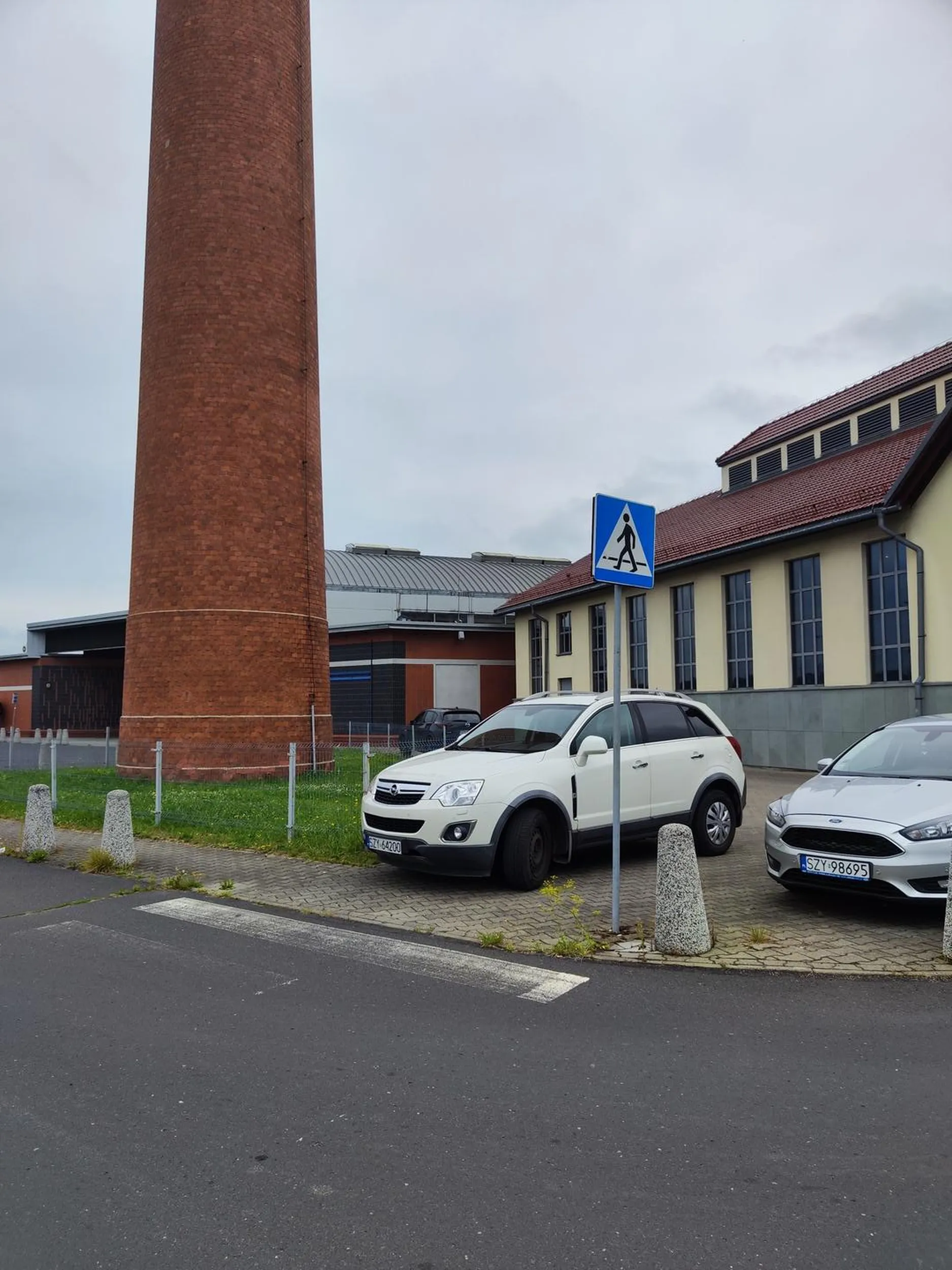 Piesi są już na tyle bezczelni, że nawet wsiądą w samochód, żeby wtargnąć na pasy!