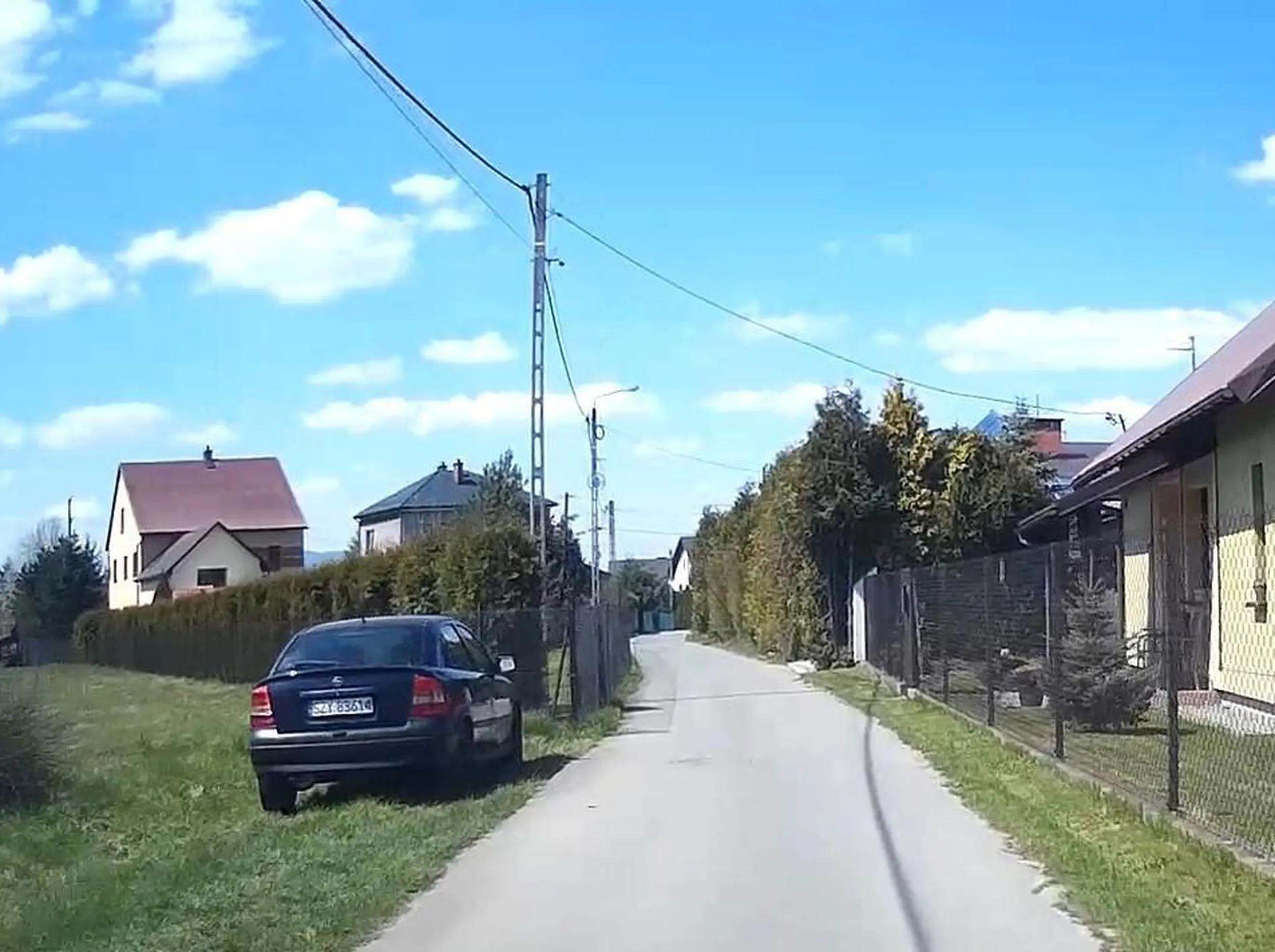 Notoryczne parkowanie na nieswojej działce i trawniku cieknącego olejem złomu. Na samej działce pełno śmieci i podobnych klekotów to jeszcze trzeba sąsiadom utrudniać życie. Po prawej za klombem widoczny kot Leon.