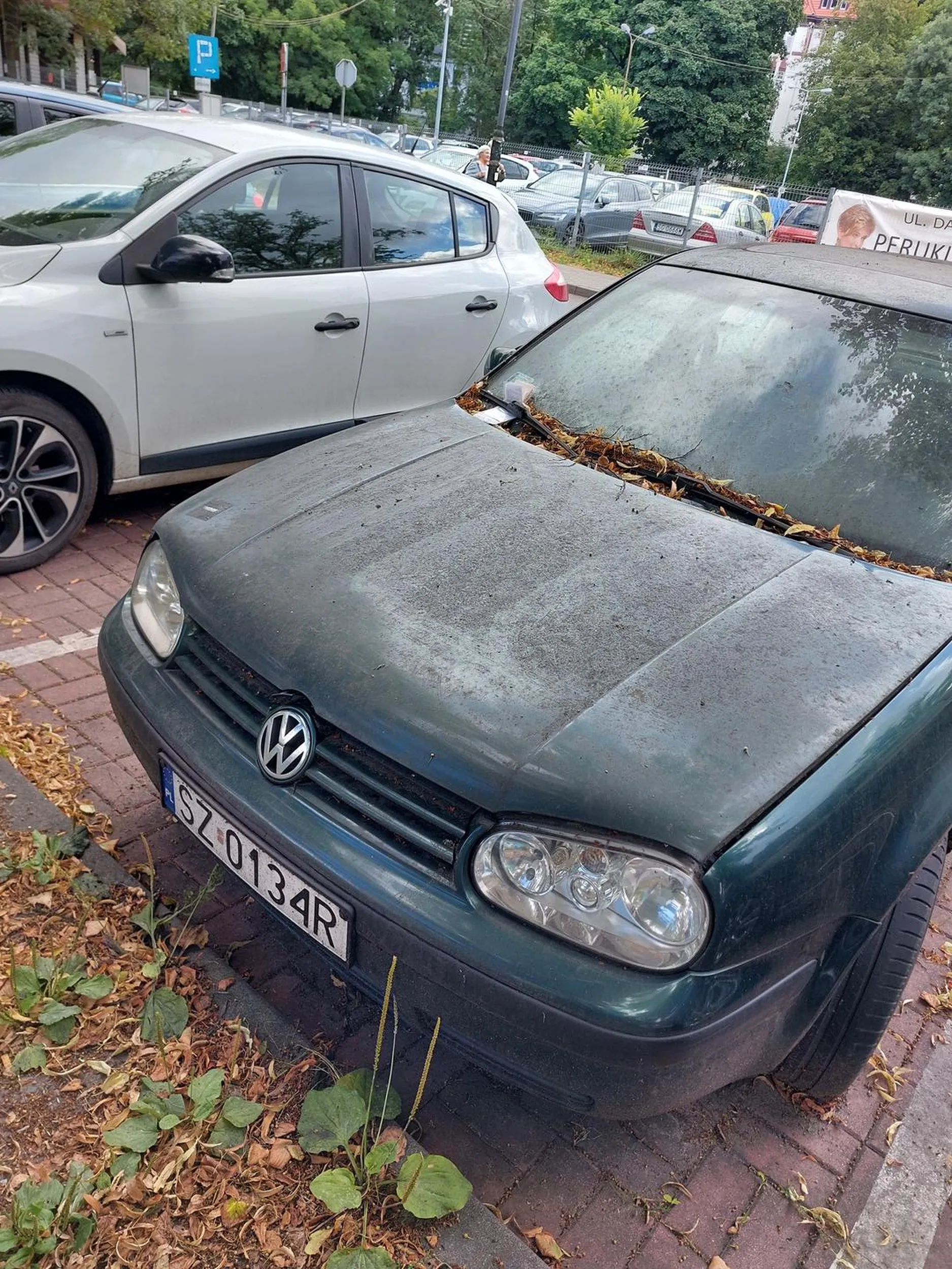 Parę tych mandatów za wycieraczką już ma...