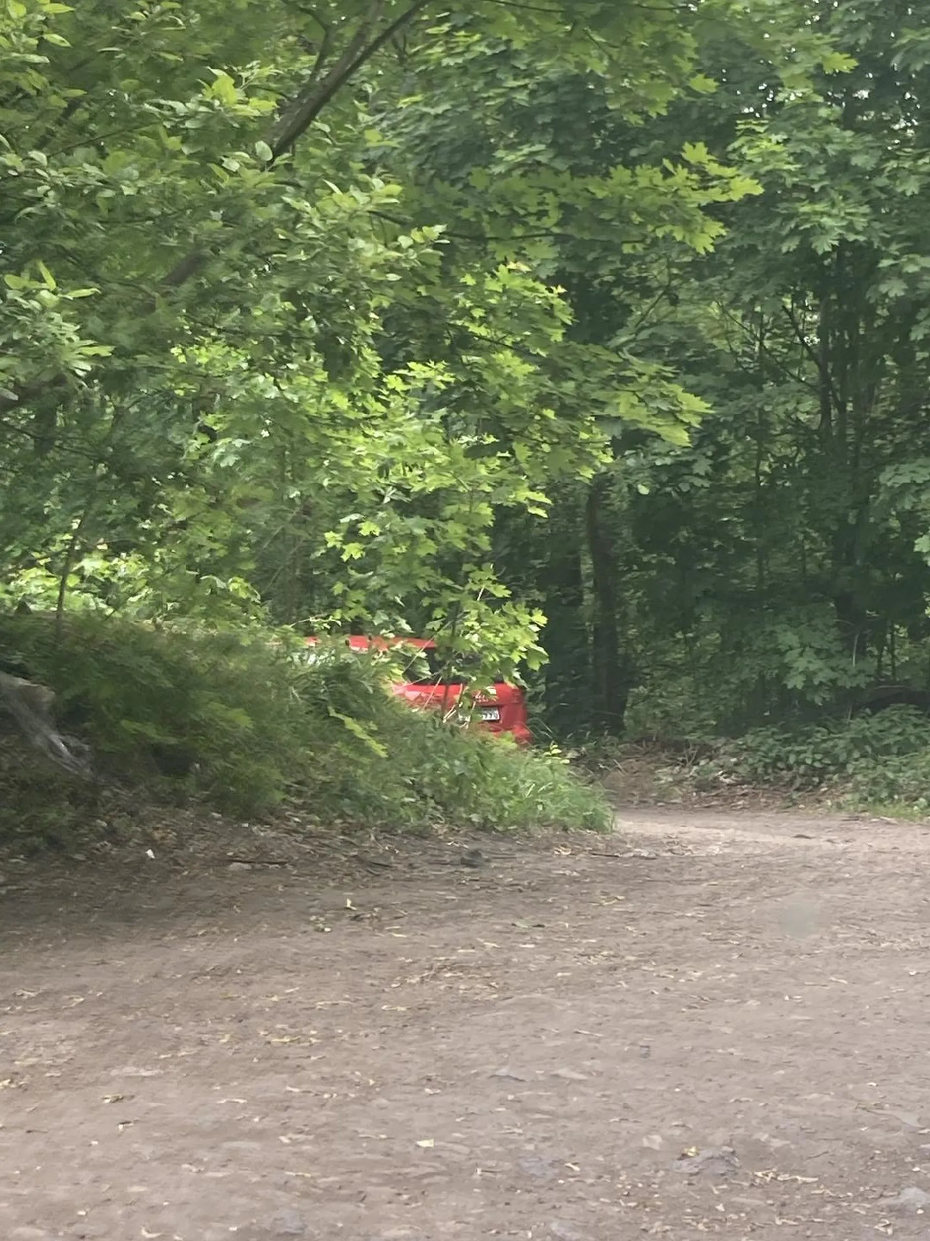 Typek przyjeżdża na przydrożne panie na przyjemności cielesne, fuj