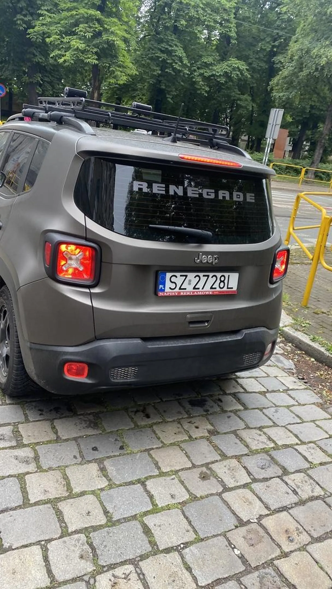 Burak , który wyprzedza pieszych na przejściu dla pieszych. Bardzo mu się spieszyło…by stać metr dalej za przejściem