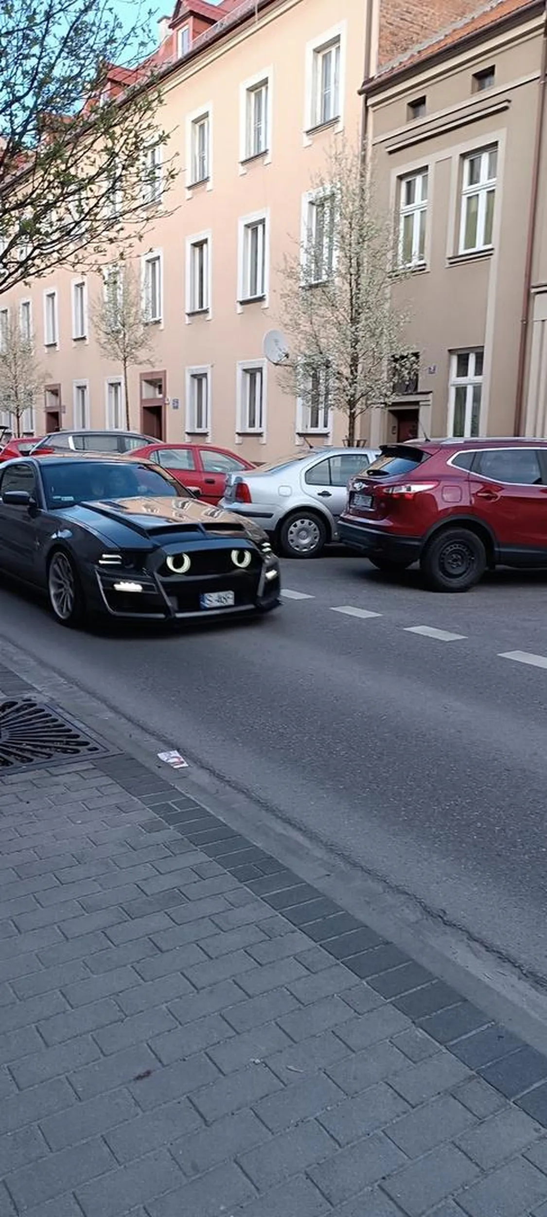 piękny mustang zajebiście brzmi