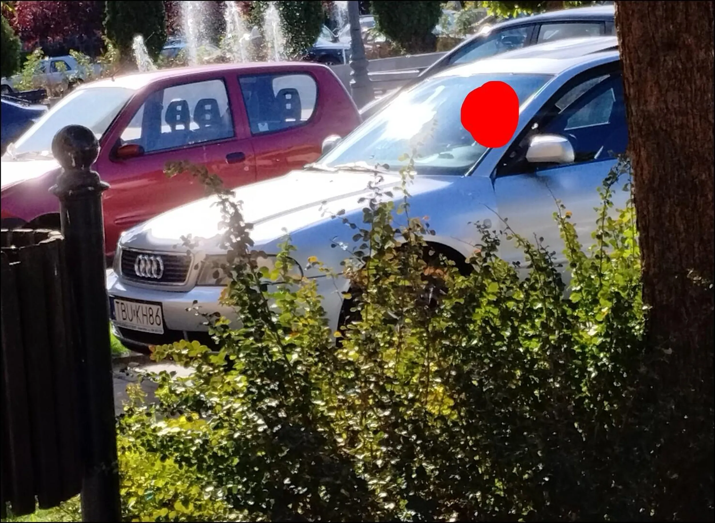 Jeden dzieciak atencjusz w kaudi z drugim siebie warci... ot, pospolite patusy bez krzty kultury i szacunku wobec obcych sobie ludzi.