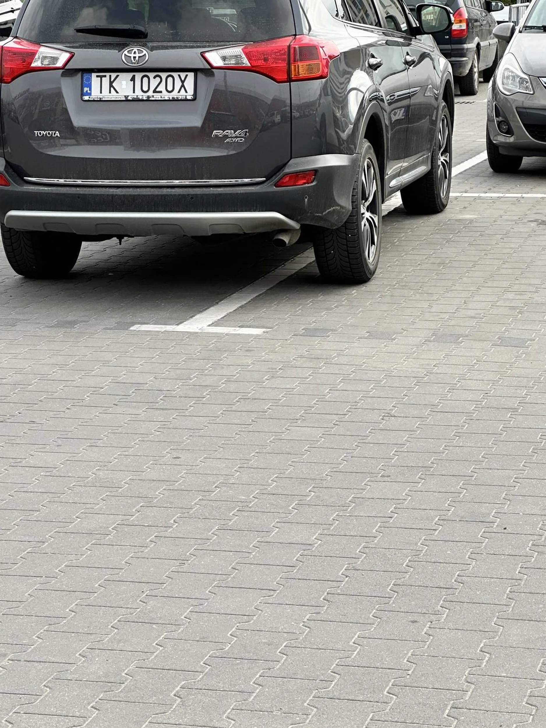 Kolega/koleżanka brak mózgu