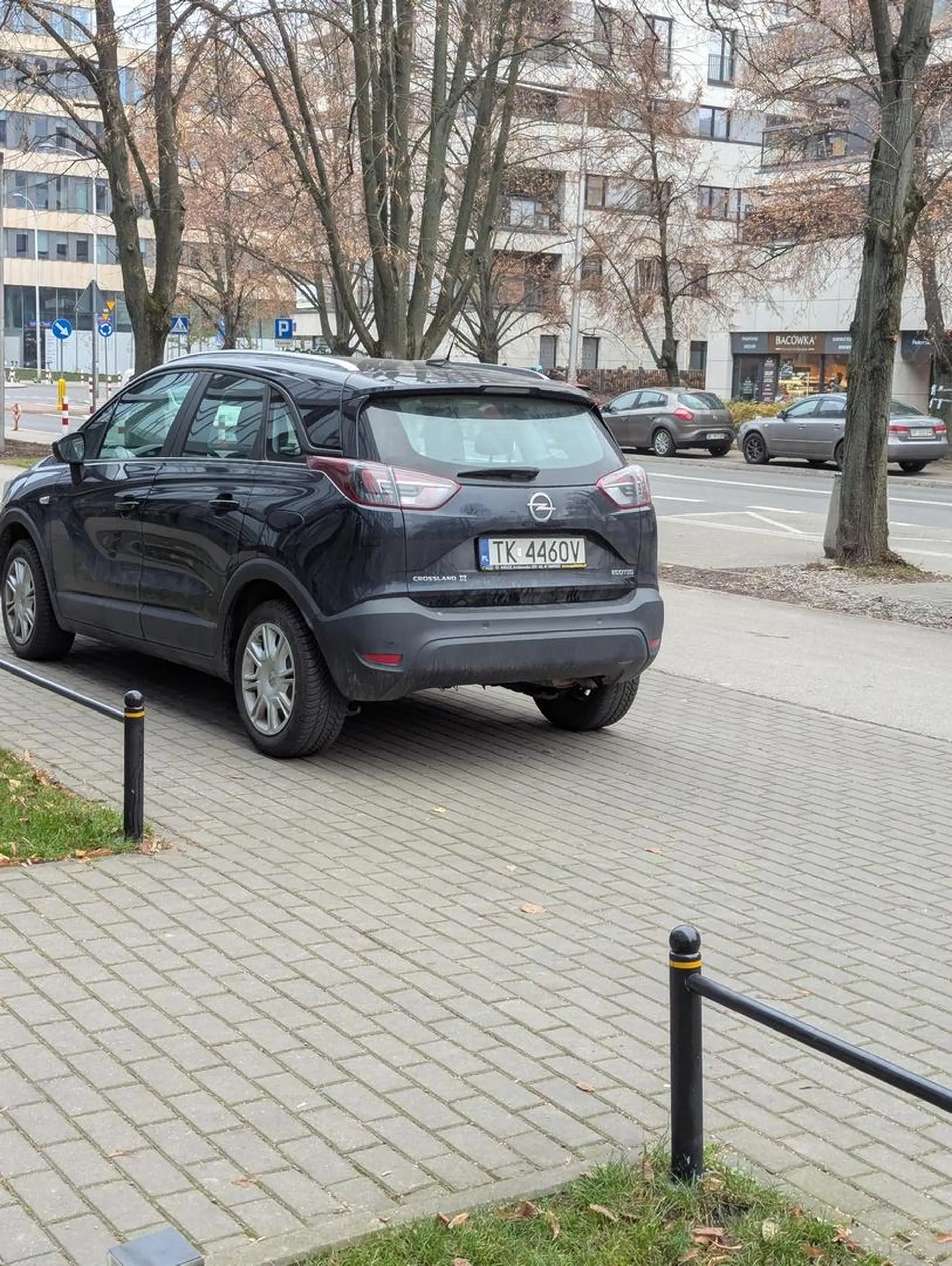 Pięknie zaparkowane na chodniku pomiędzy DDR a pasmem trawy