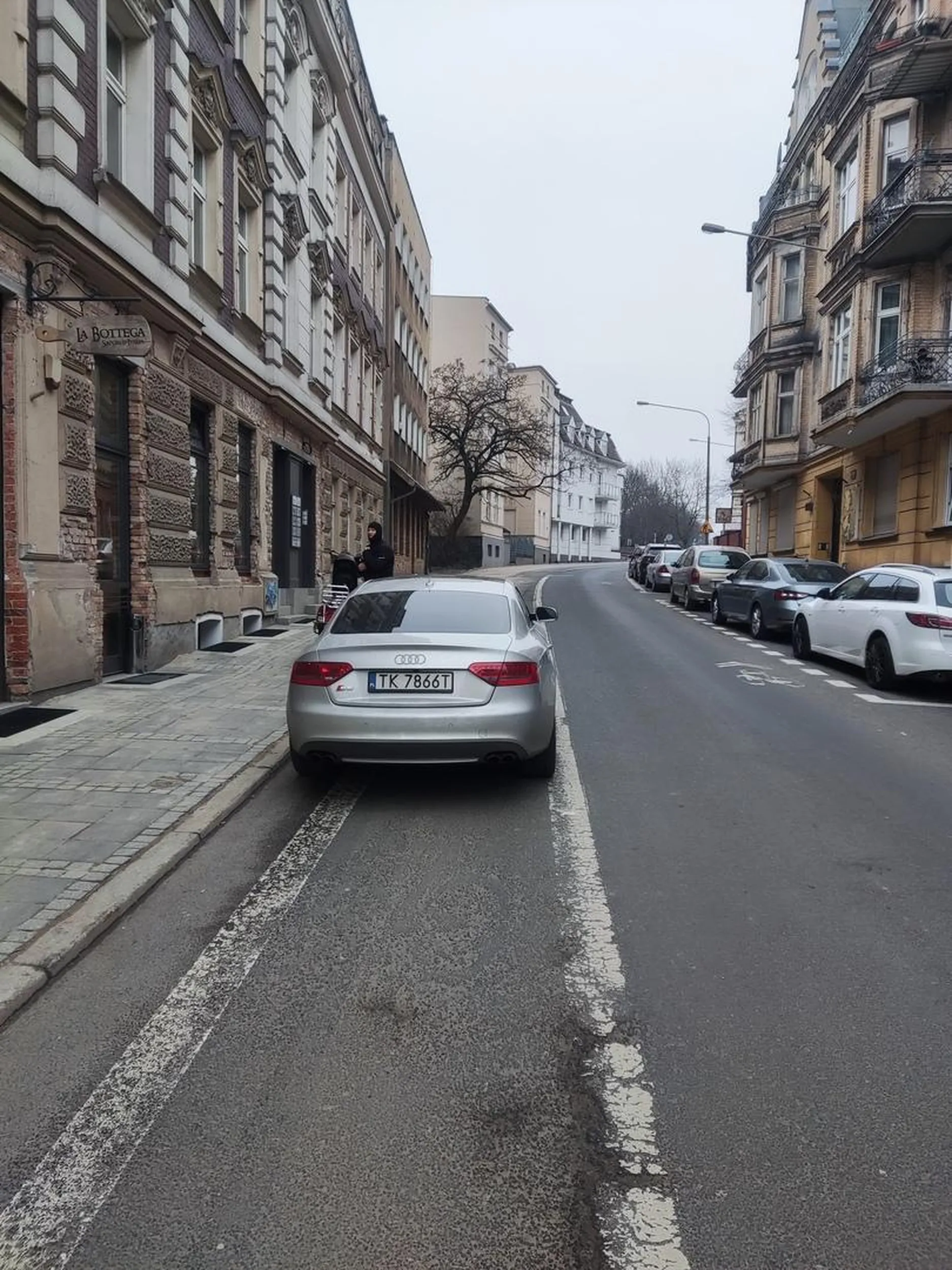 Blokuje przejazd rowerowy na wąskiej drodze.