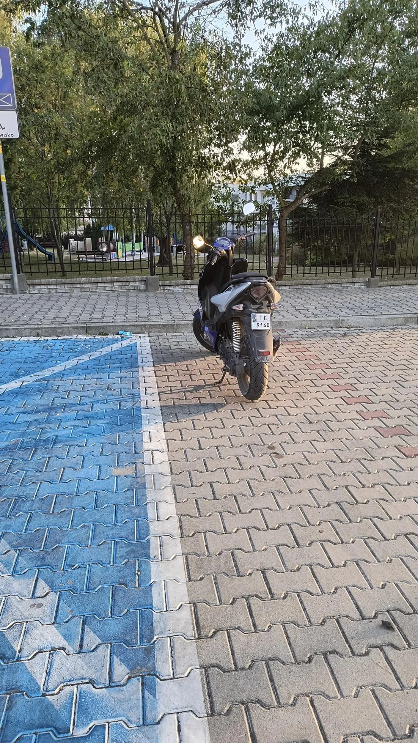 Cipsko nie umie parkować