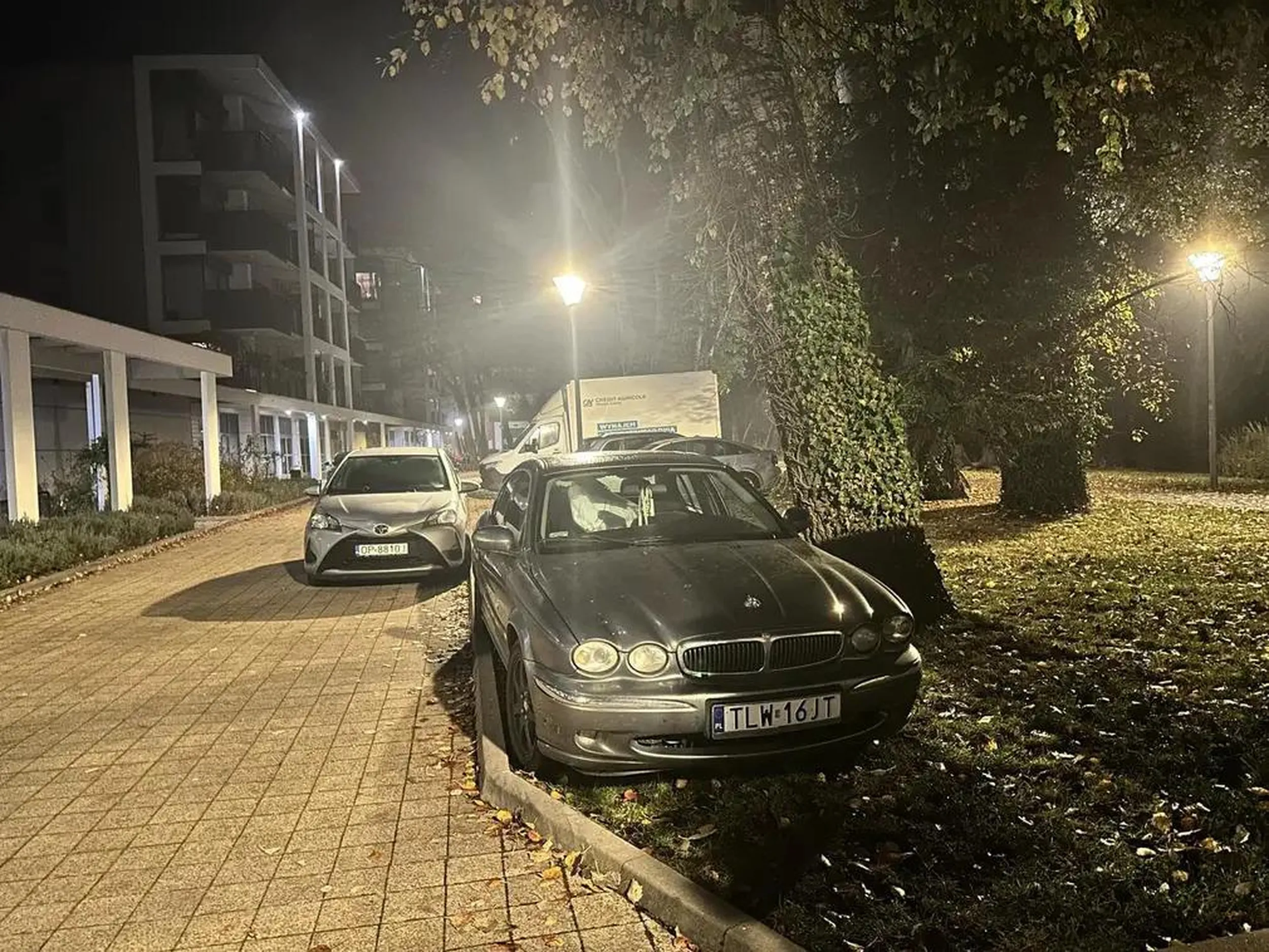 Niezły burak niszczący zieleń we Wrocławiu