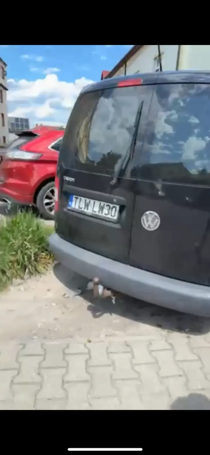 Mistrz niszczenia zieleni