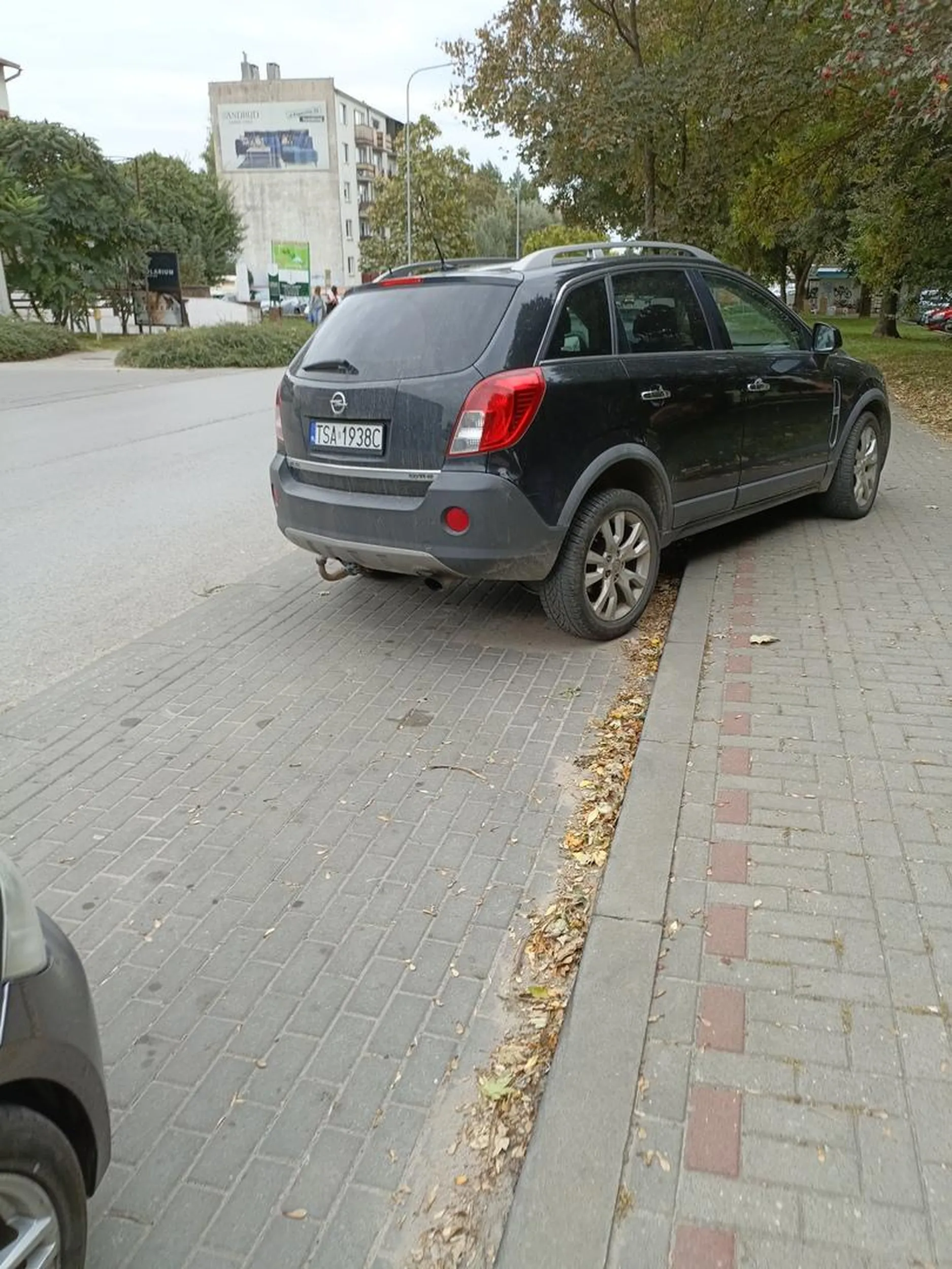 Nie umie parkować XD