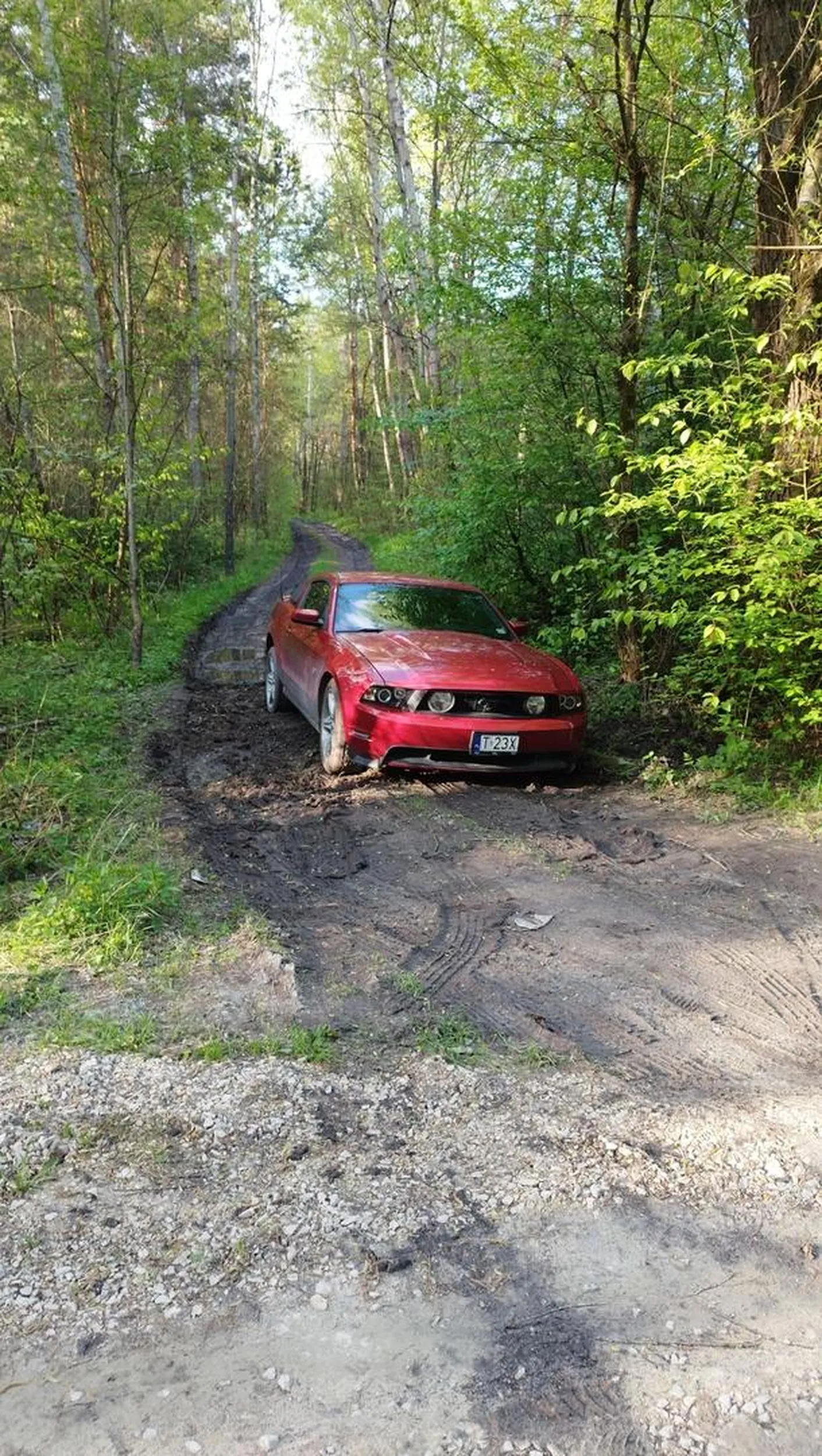 Chłop się zakopał w lesie mustangiem polecam