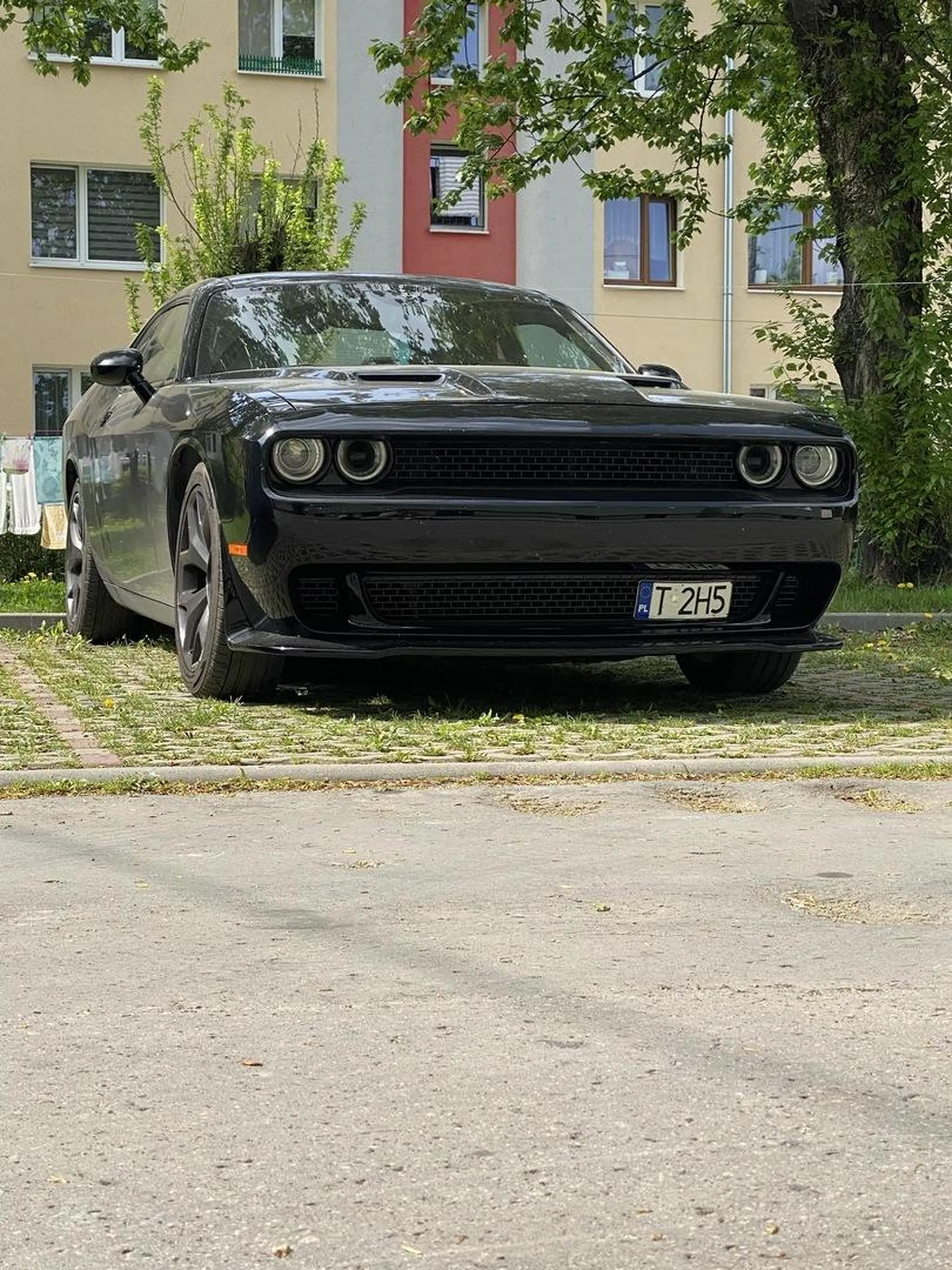 Najlepsza furka w tst??Pozdro dla Damiana ???