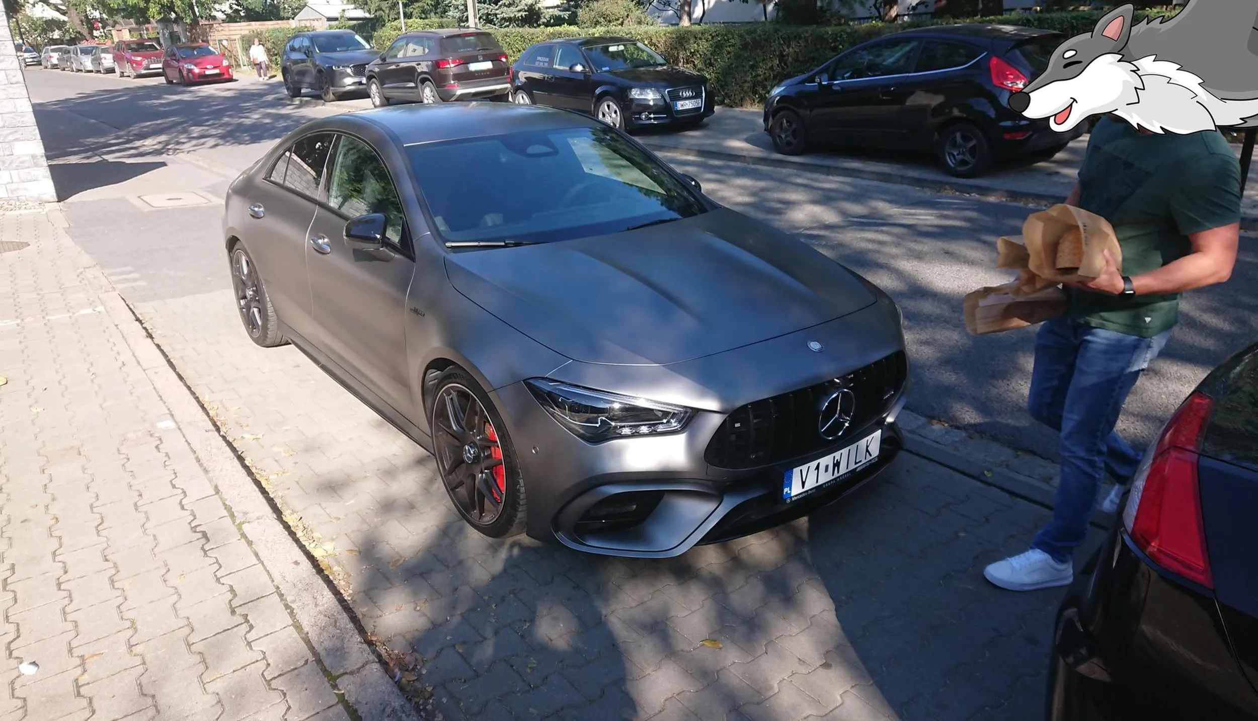 Młody wilczek wpadł w fotopułapkę... Dobra rada - wystarczy przestrzegać przepisów, nie parkować na znaku zakazu zatrzymywania, zostawić przejście pieszym. No i nad językiem wypadałoby popracować...