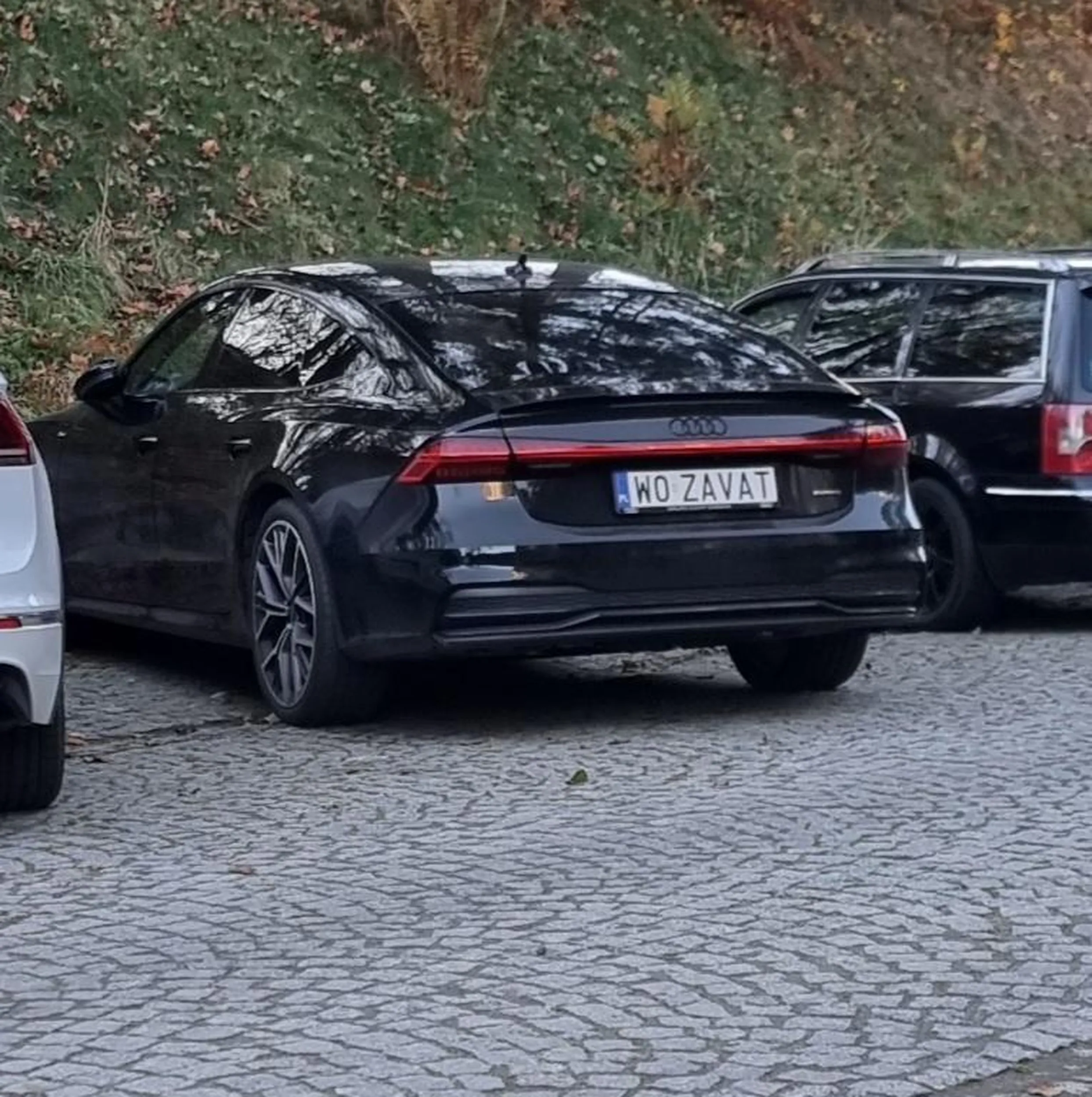 Baaardzo ładne Auuuuudi