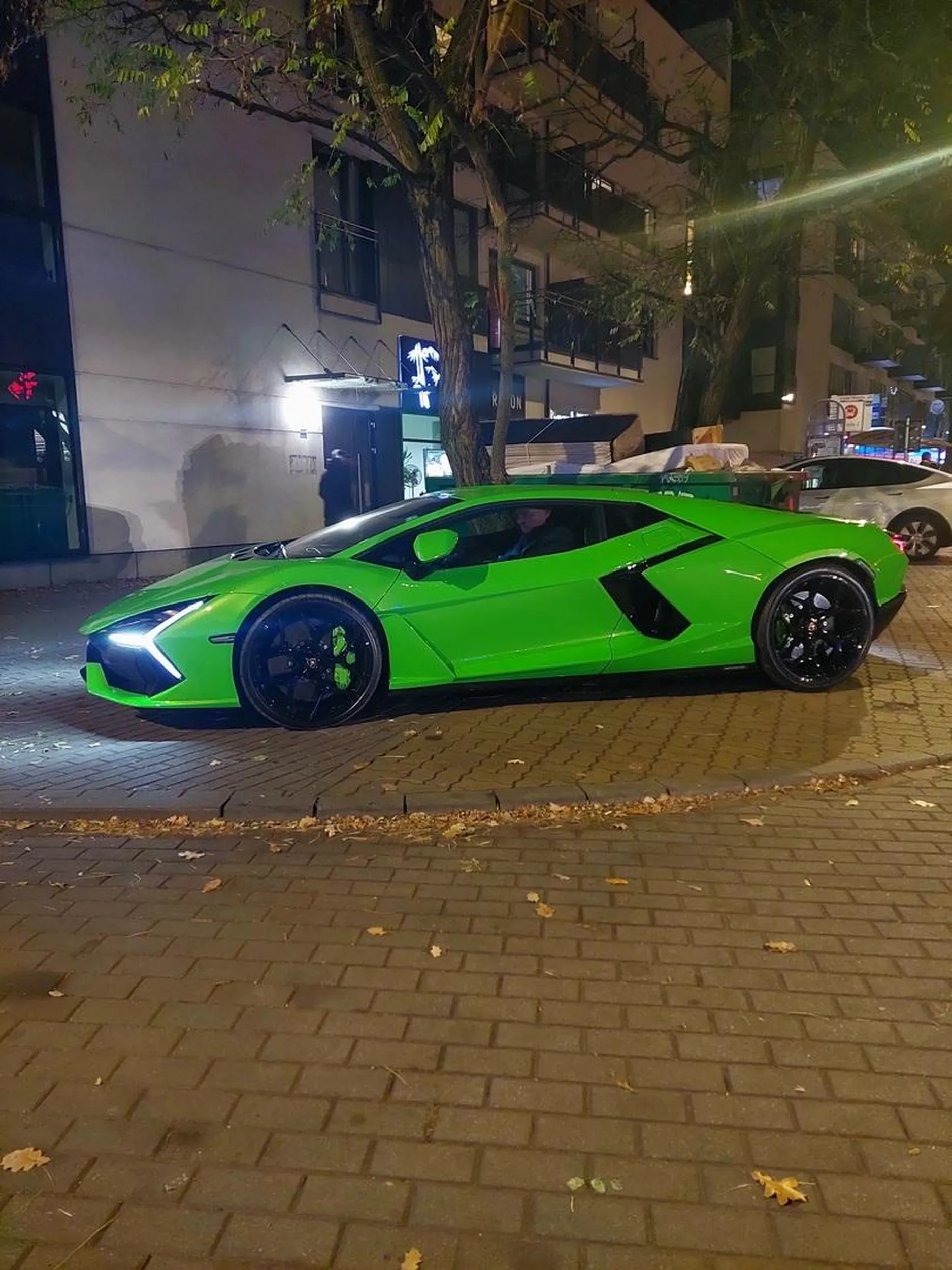 Panie właścicielu ładne ma Pan Revuelto